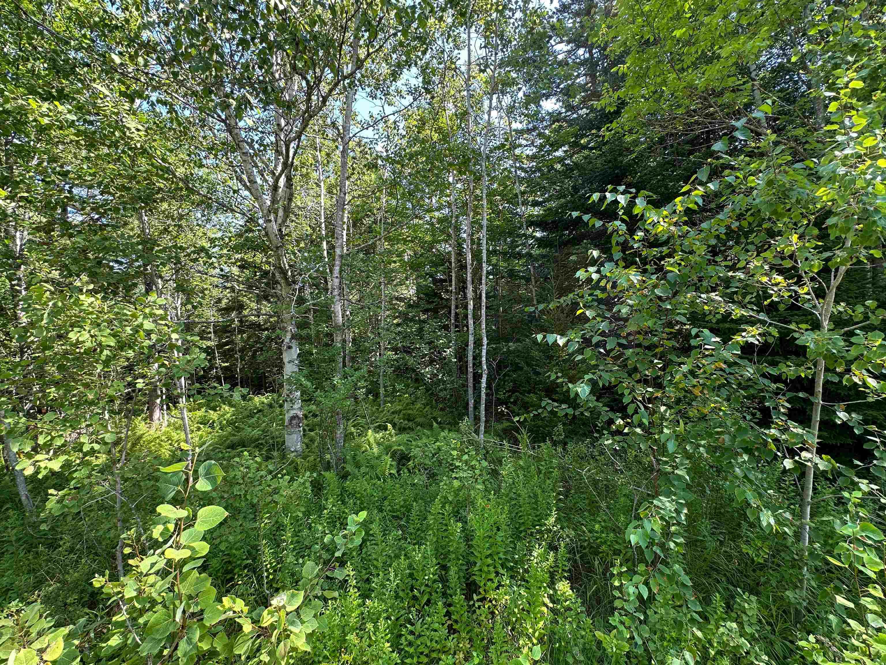 $47,000.00: LOT 101 CROUSES SETTLEMENT Road, Crouses Settlement