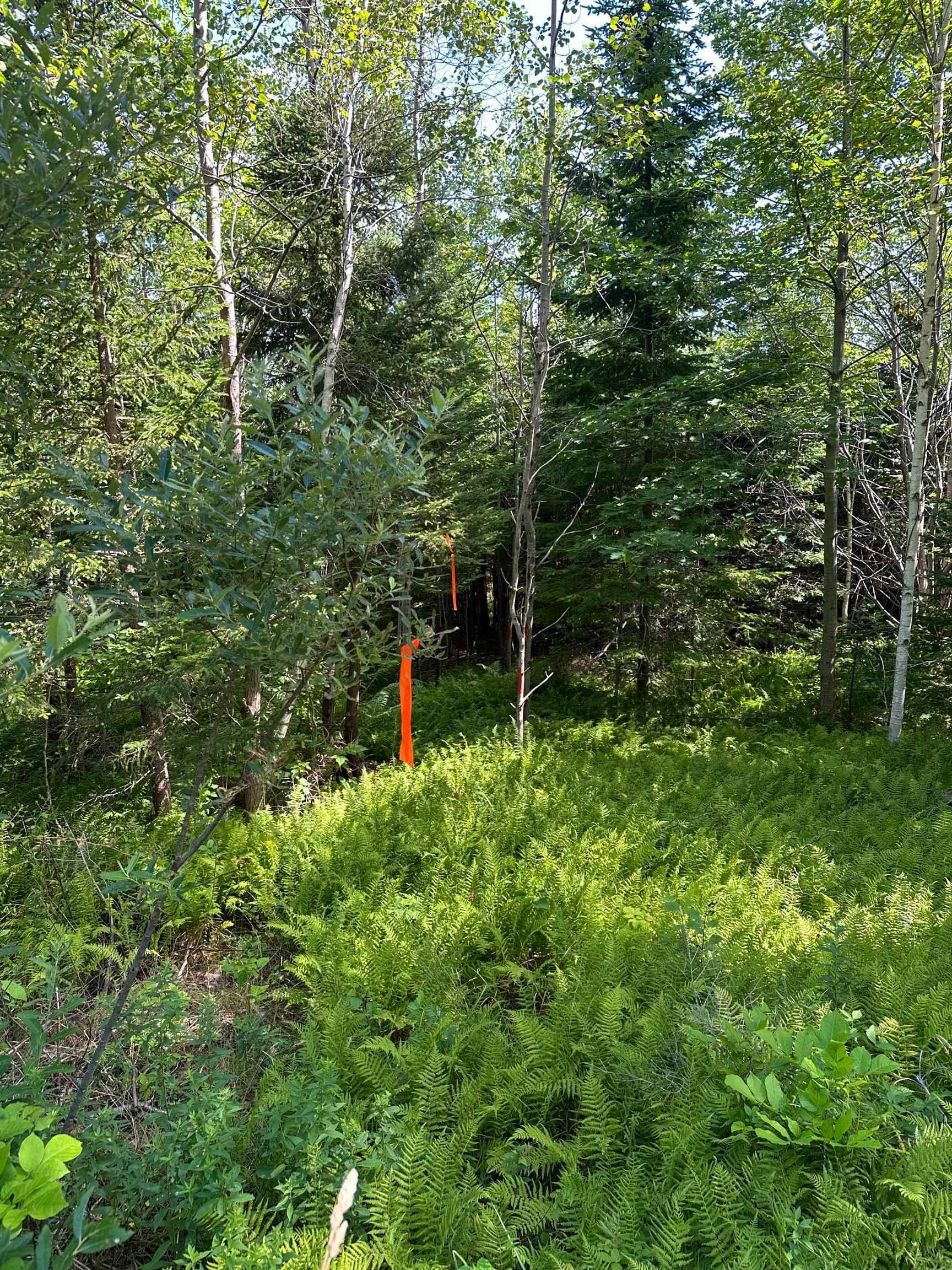 $47,000.00: LOT 101 CROUSES SETTLEMENT Road, Crouses Settlement