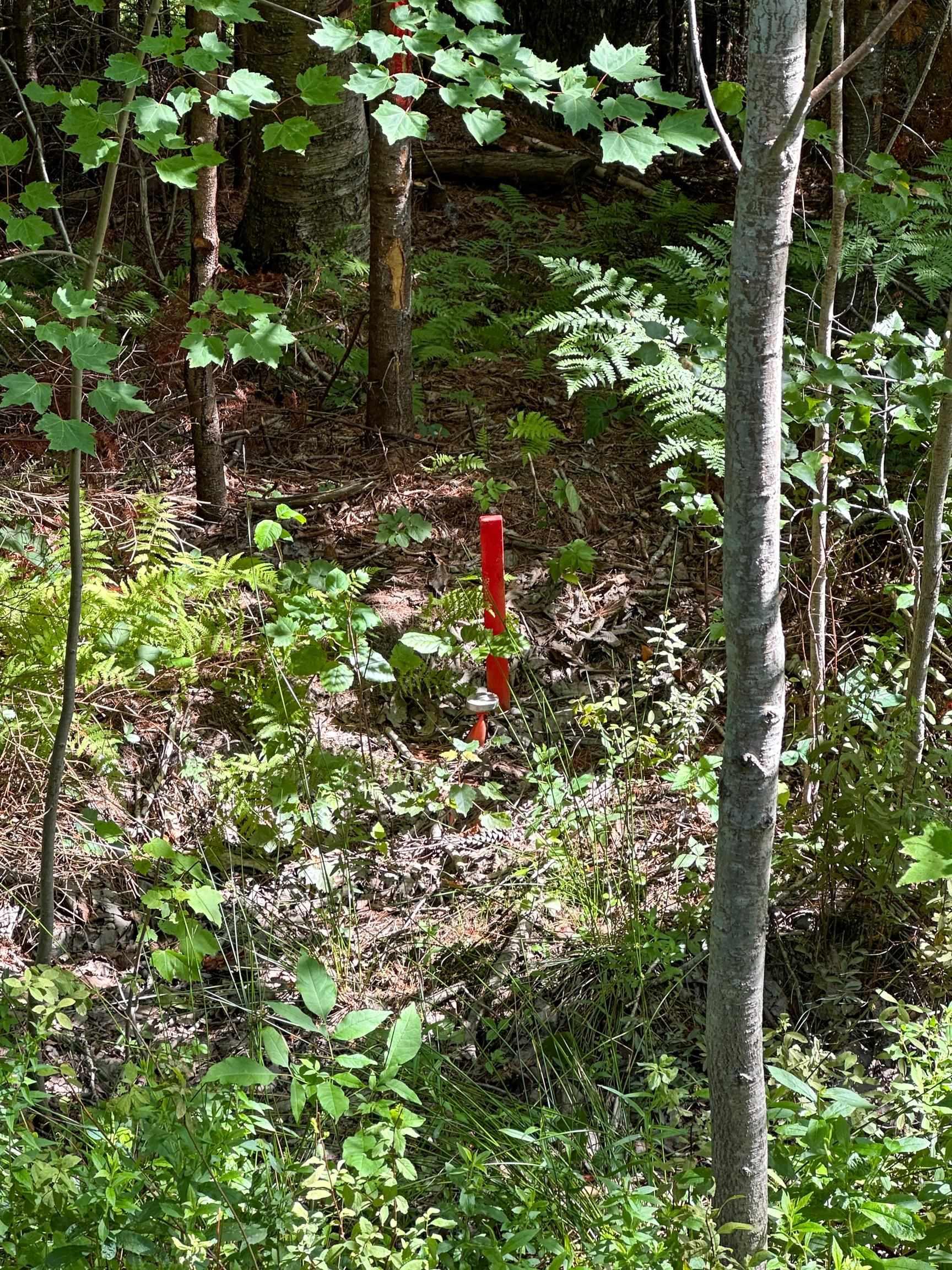 $47,000.00: LOT 101 CROUSES SETTLEMENT Road, Crouses Settlement