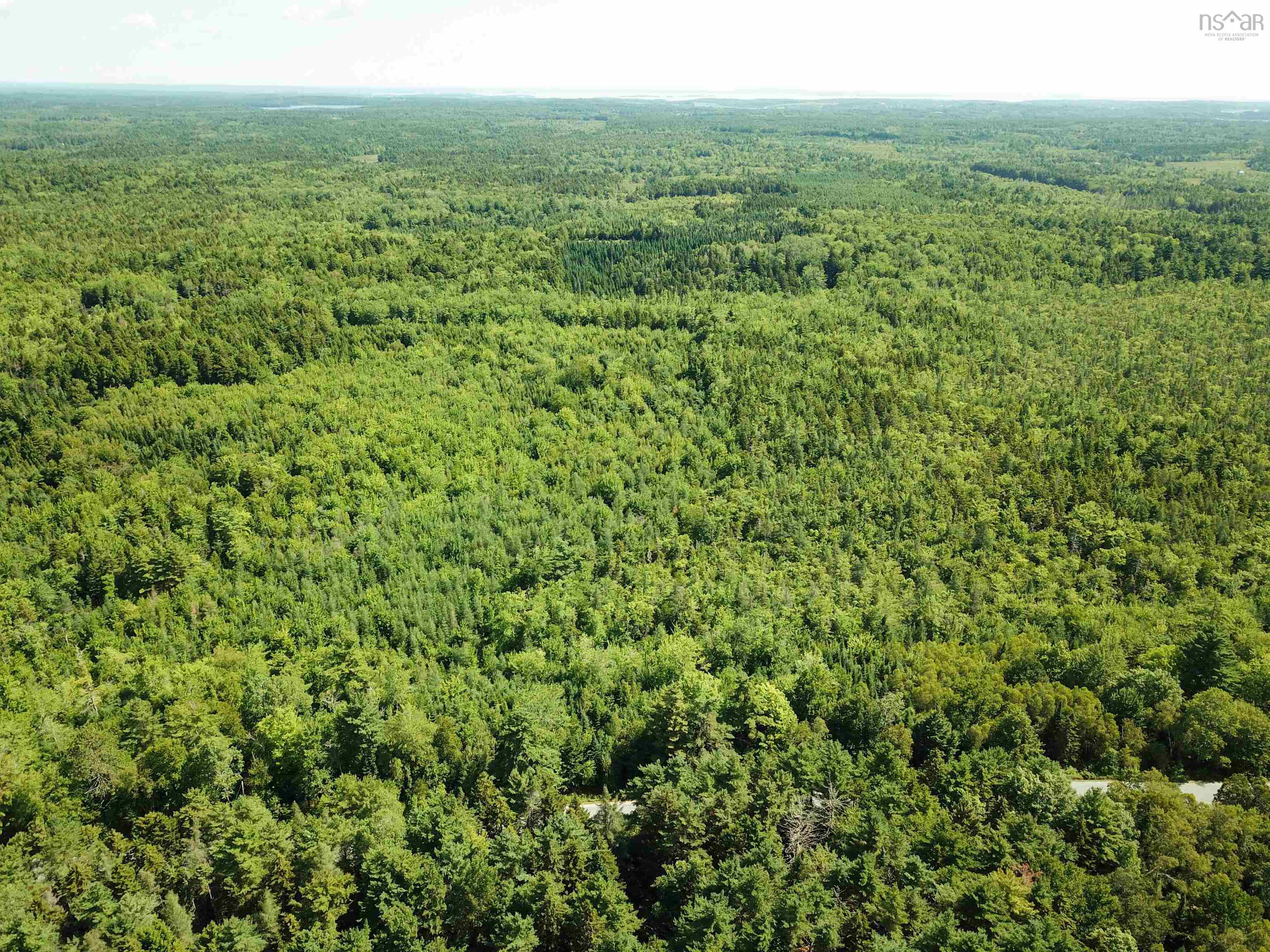 $45,000.00: LOT 104 CROUSES SETTLEMENT Road, Crouses Settlement