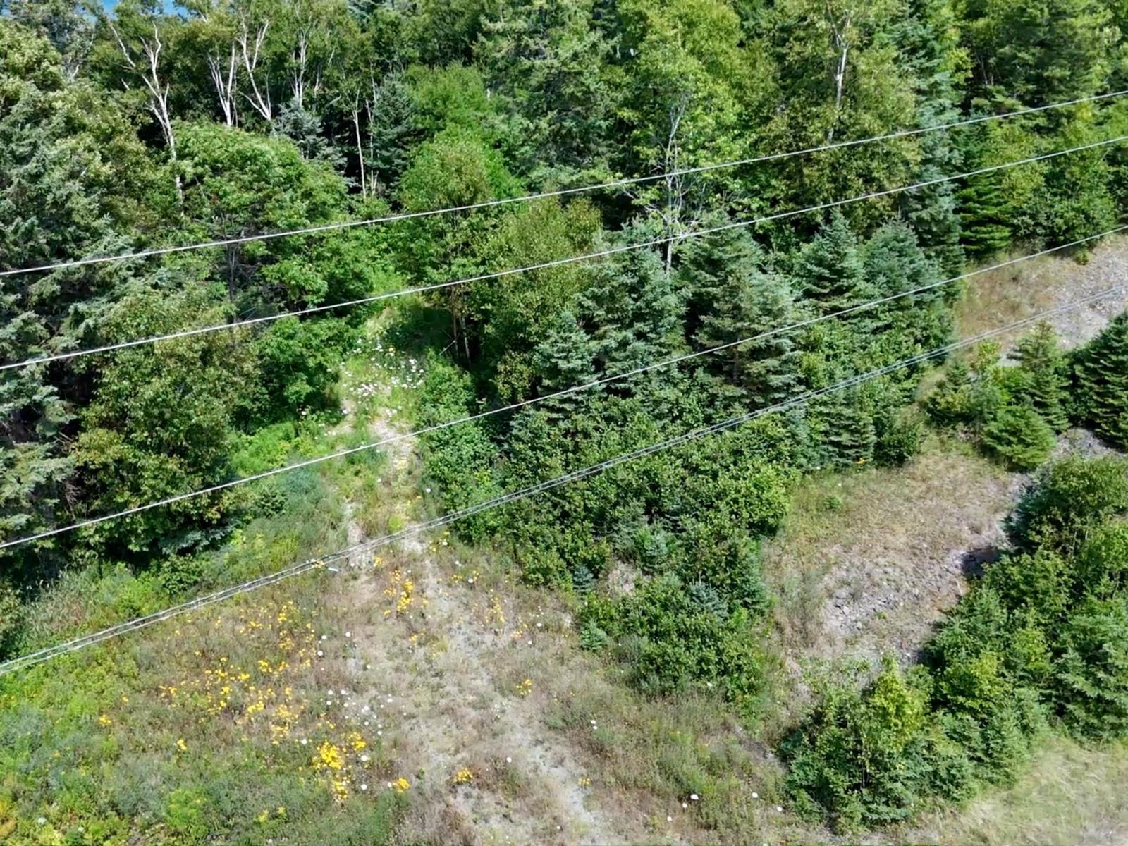 $139,000.00: Lot 4,6,8 Lakeshore Drive W, Irish Cove