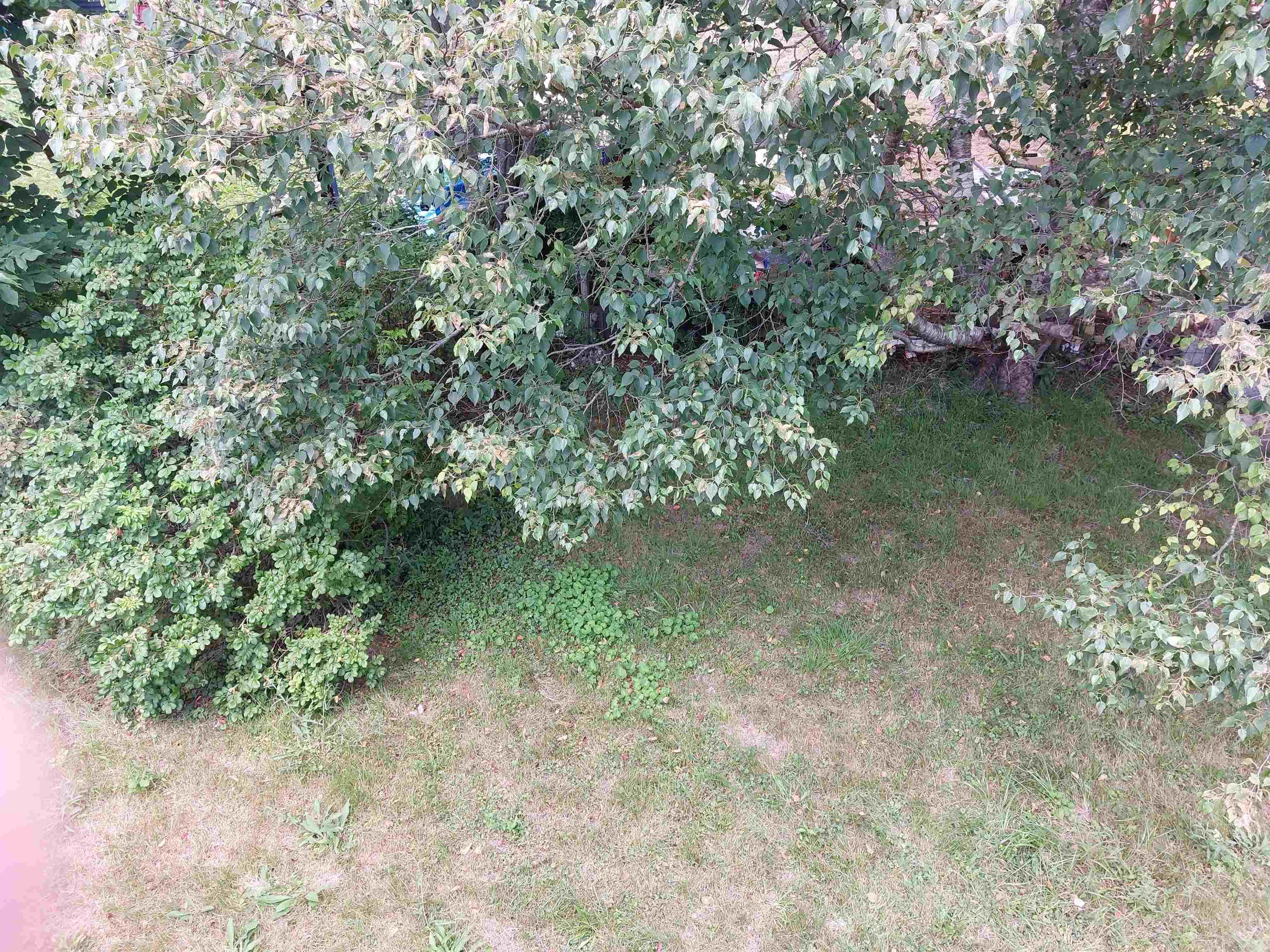 $489,900.00: 85 Rufus Avenue, Fairview
