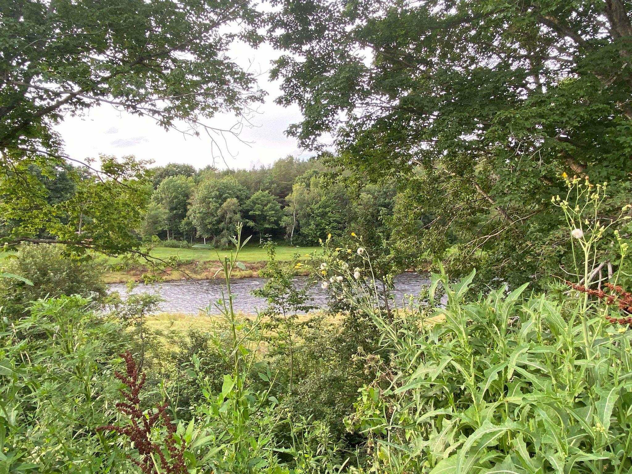 $95,000.00: Lot 2 201 Highway, Paradise