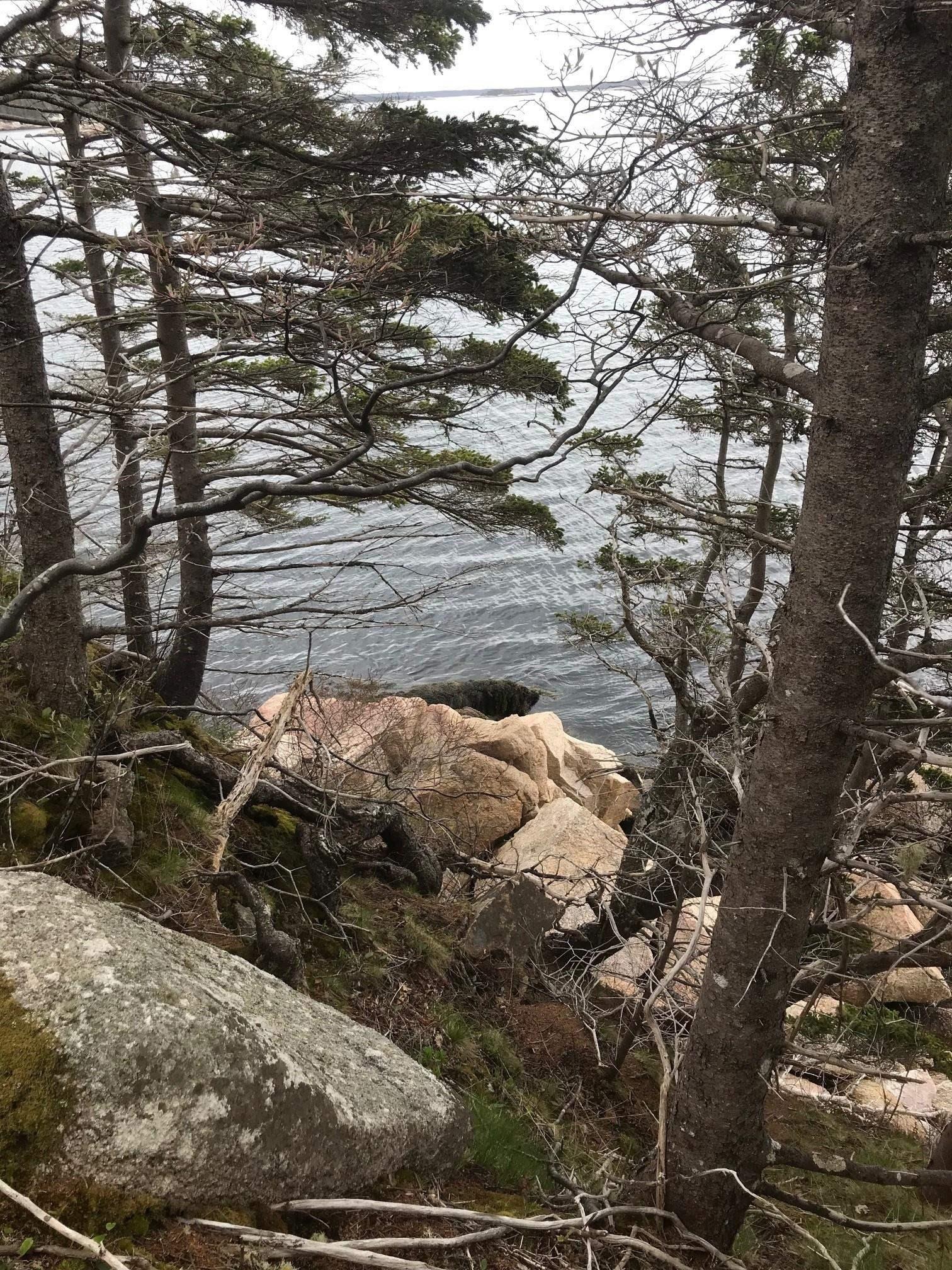 1614 + 1618 Terence Bay Road, Terence Bay, NS (MLS® 202519503)