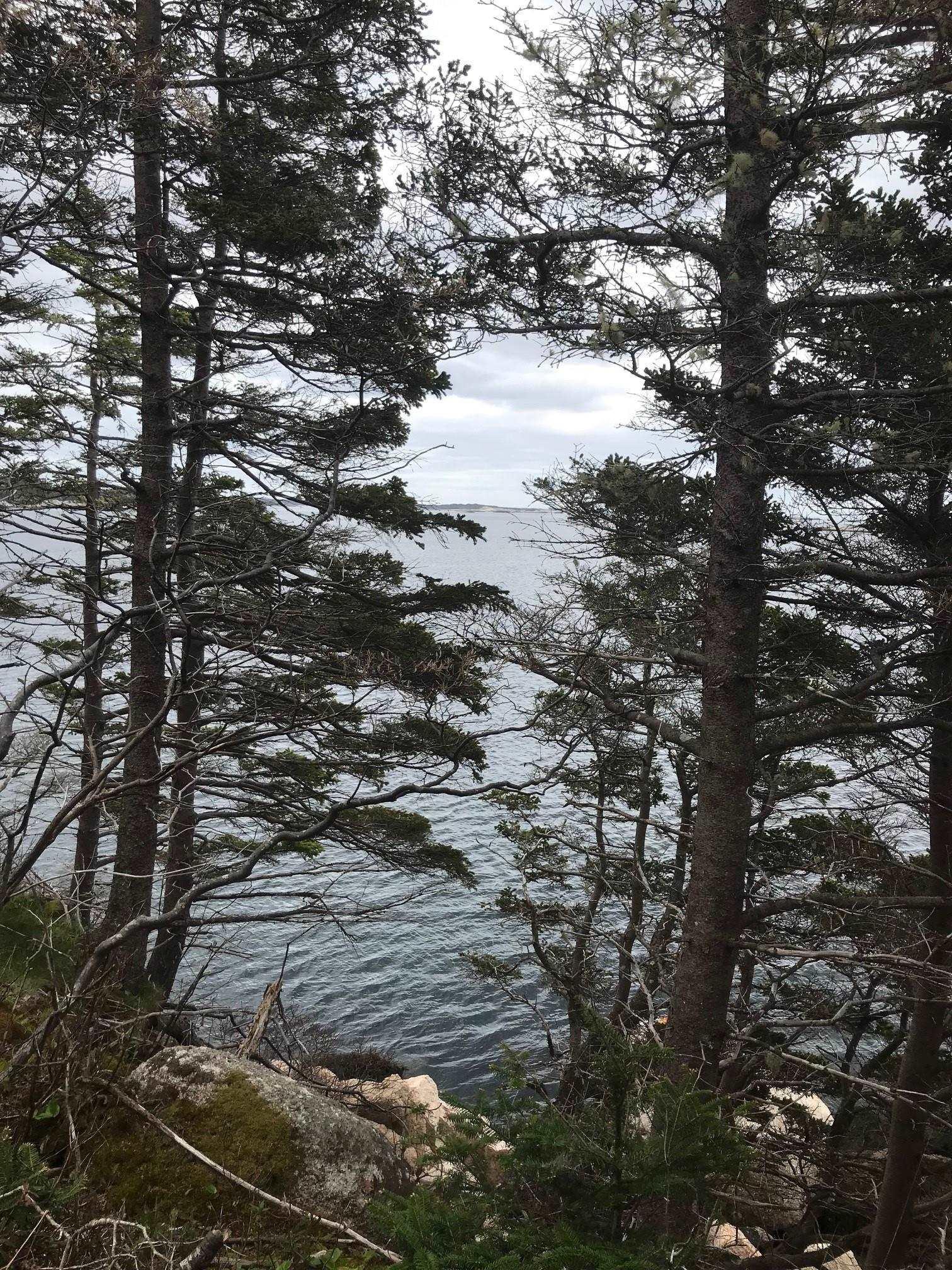 1614 + 1618 Terence Bay Road, Terence Bay, NS (MLS 202519503)