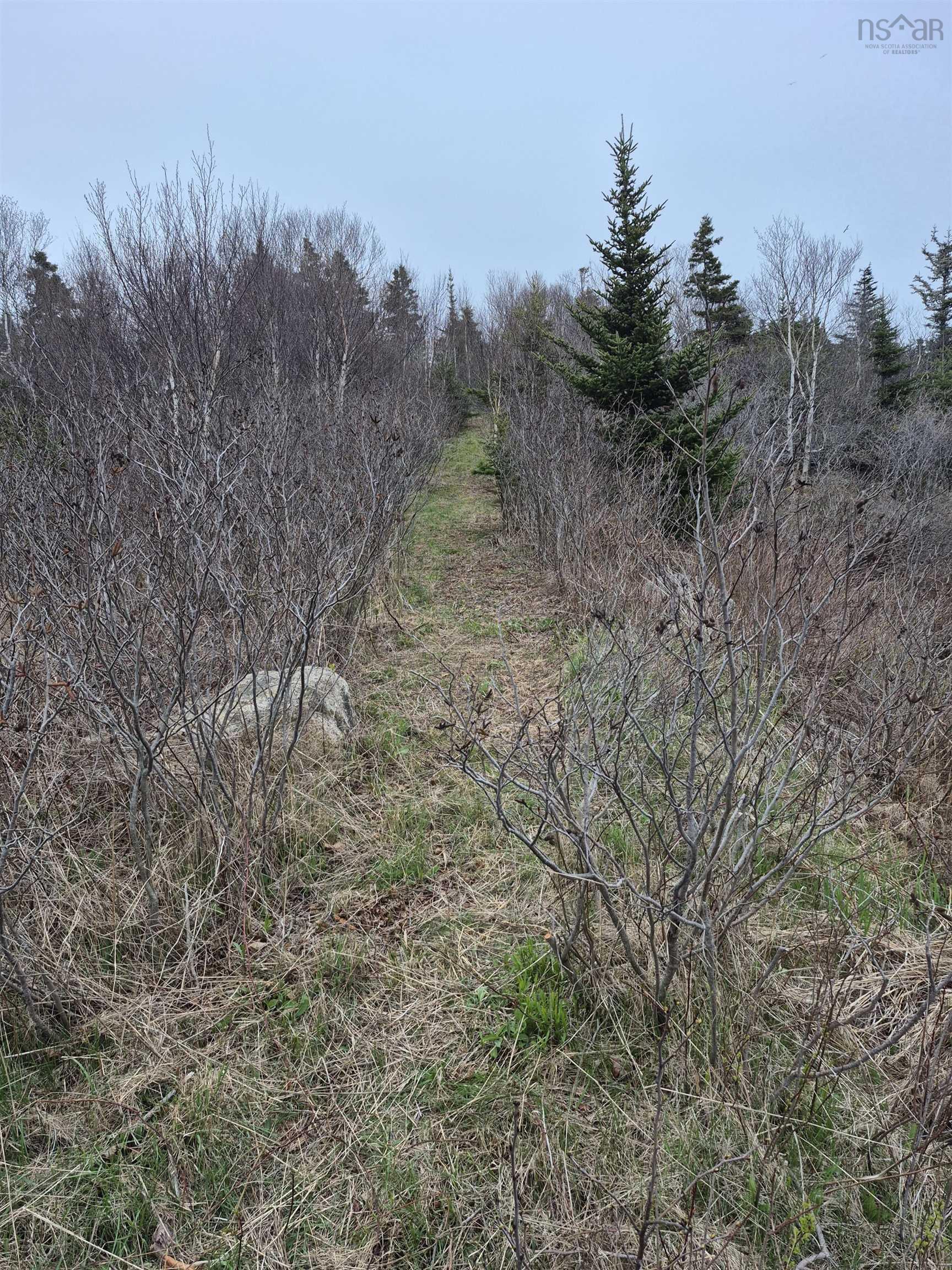 1614 + 1618 Terence Bay Road, Terence Bay, NS (MLS 202519503)