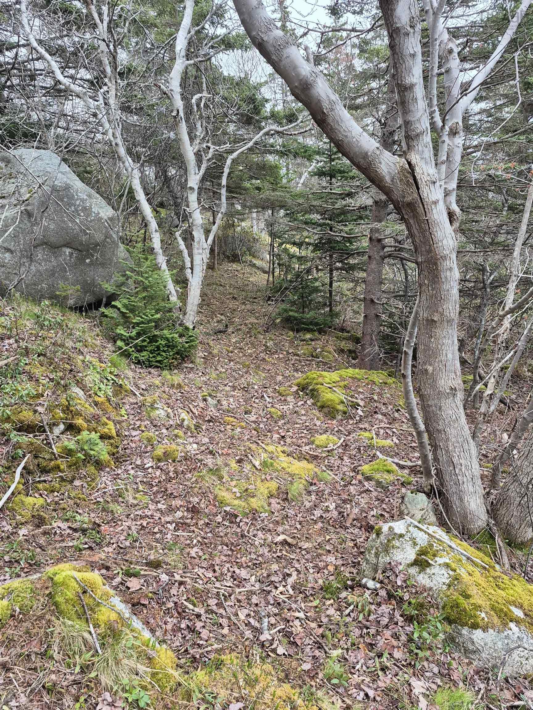 1614 + 1618 Terence Bay Road, Terence Bay, NS (MLS 202519503)