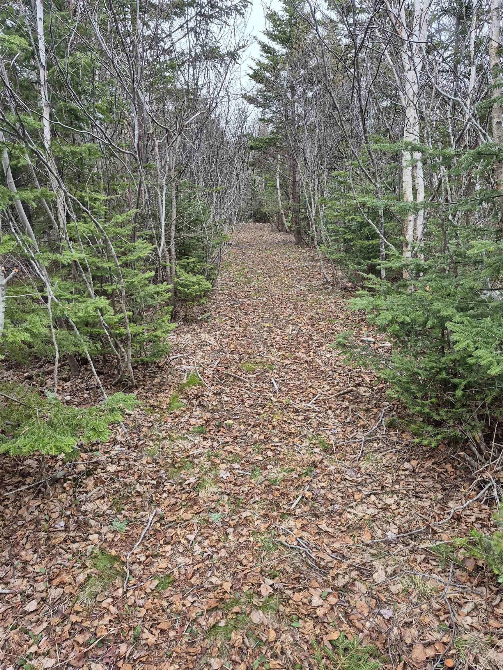 1614 + 1618 Terence Bay Road, Terence Bay, NS (MLS 202519503)