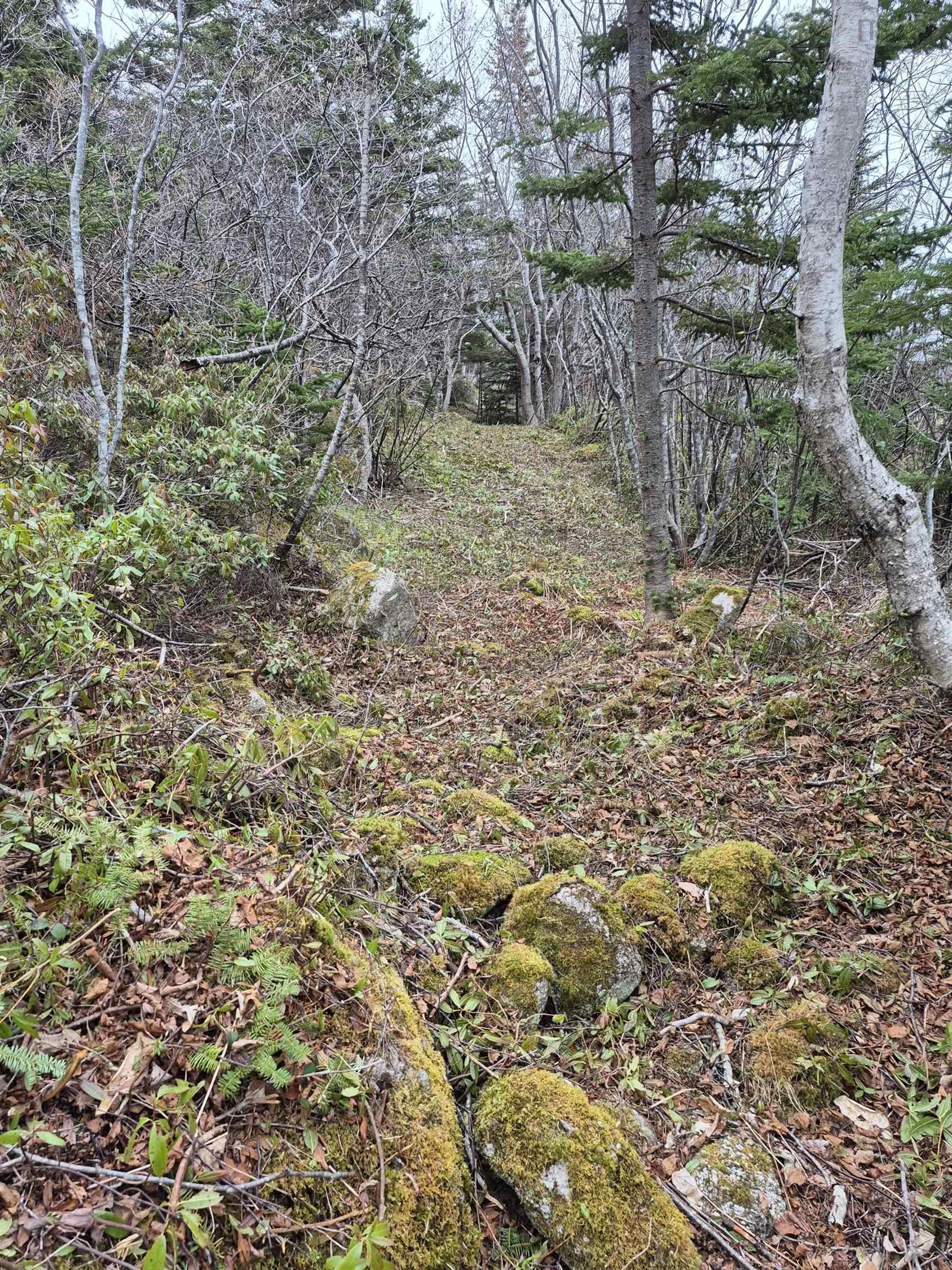 1614 + 1618 Terence Bay Road, Terence Bay, NS (MLS 202519503)