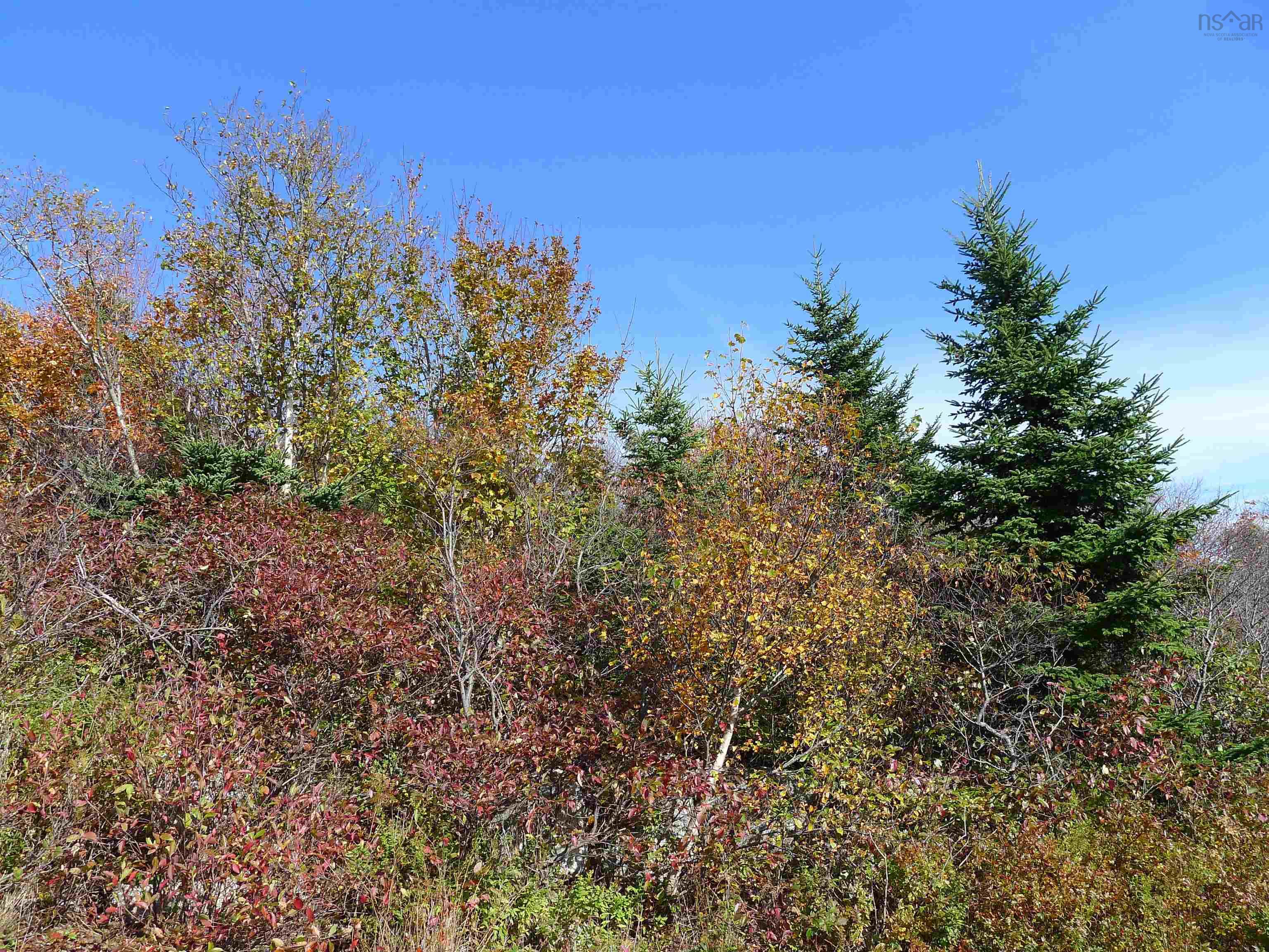 1614 + 1618 Terence Bay Road, Terence Bay, NS (MLS 202519503)