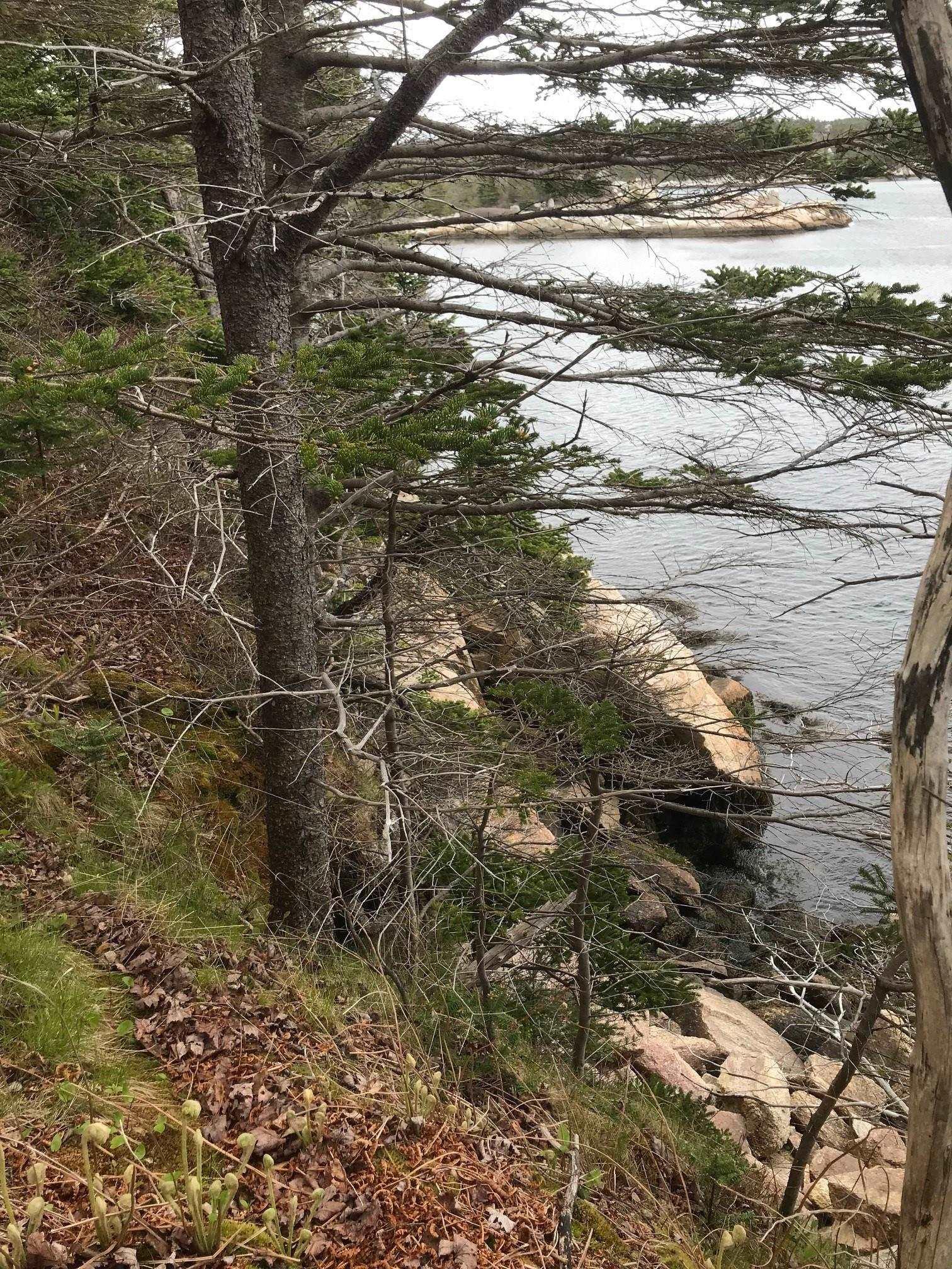 1614 + 1618 Terence Bay Road, Terence Bay, NS (MLS 202519503)