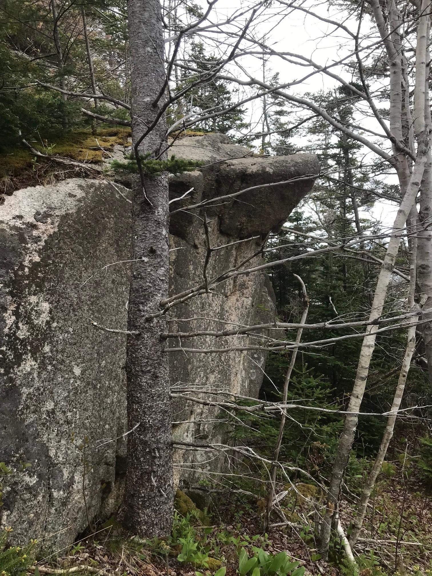 1614 + 1618 Terence Bay Road, Terence Bay, NS (MLS 202519503)