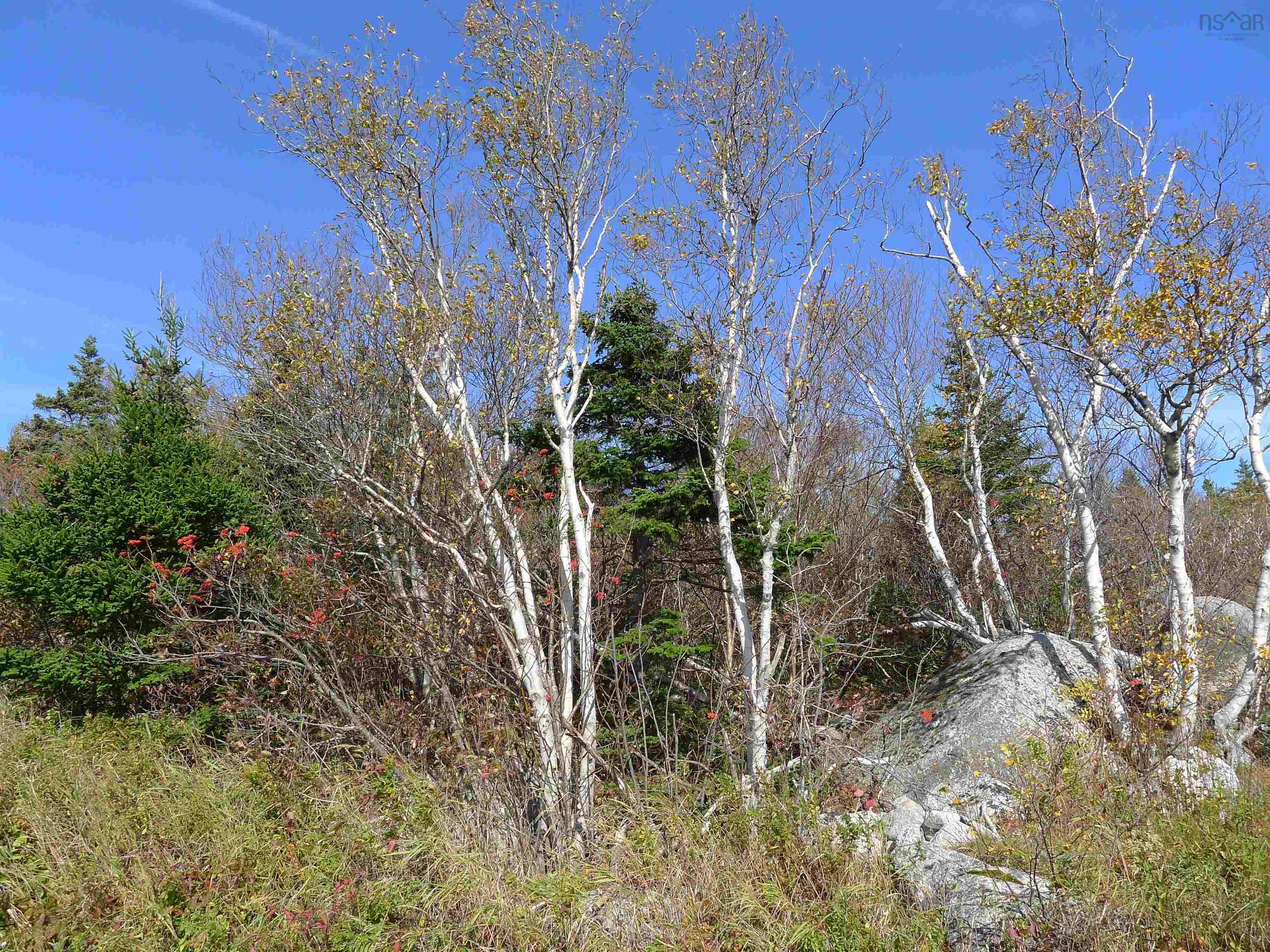 1614 + 1618 Terence Bay Road, Terence Bay, NS (MLS 202519503)