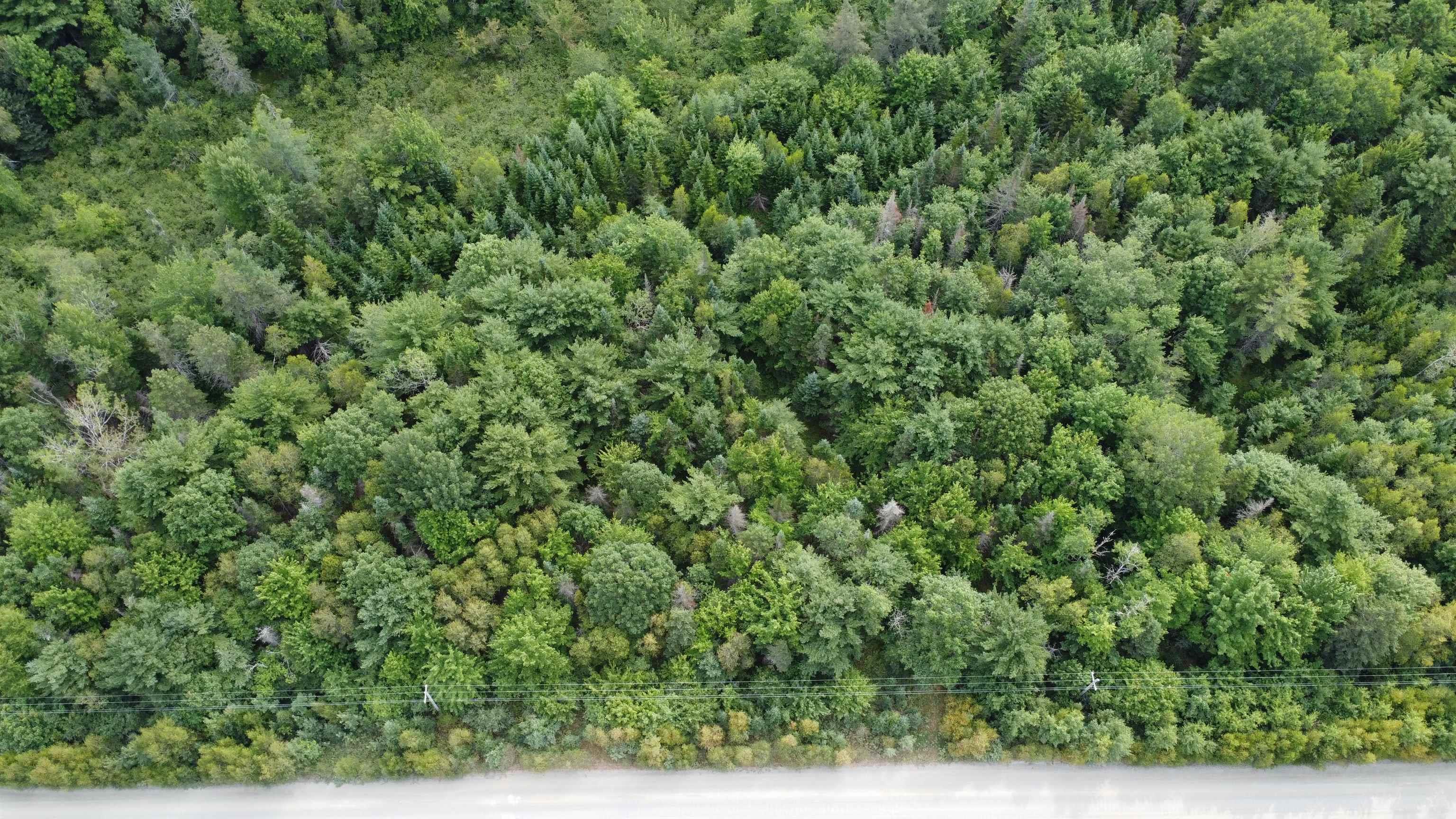 $59,900.00: Lot Morton Road, Barss Corner