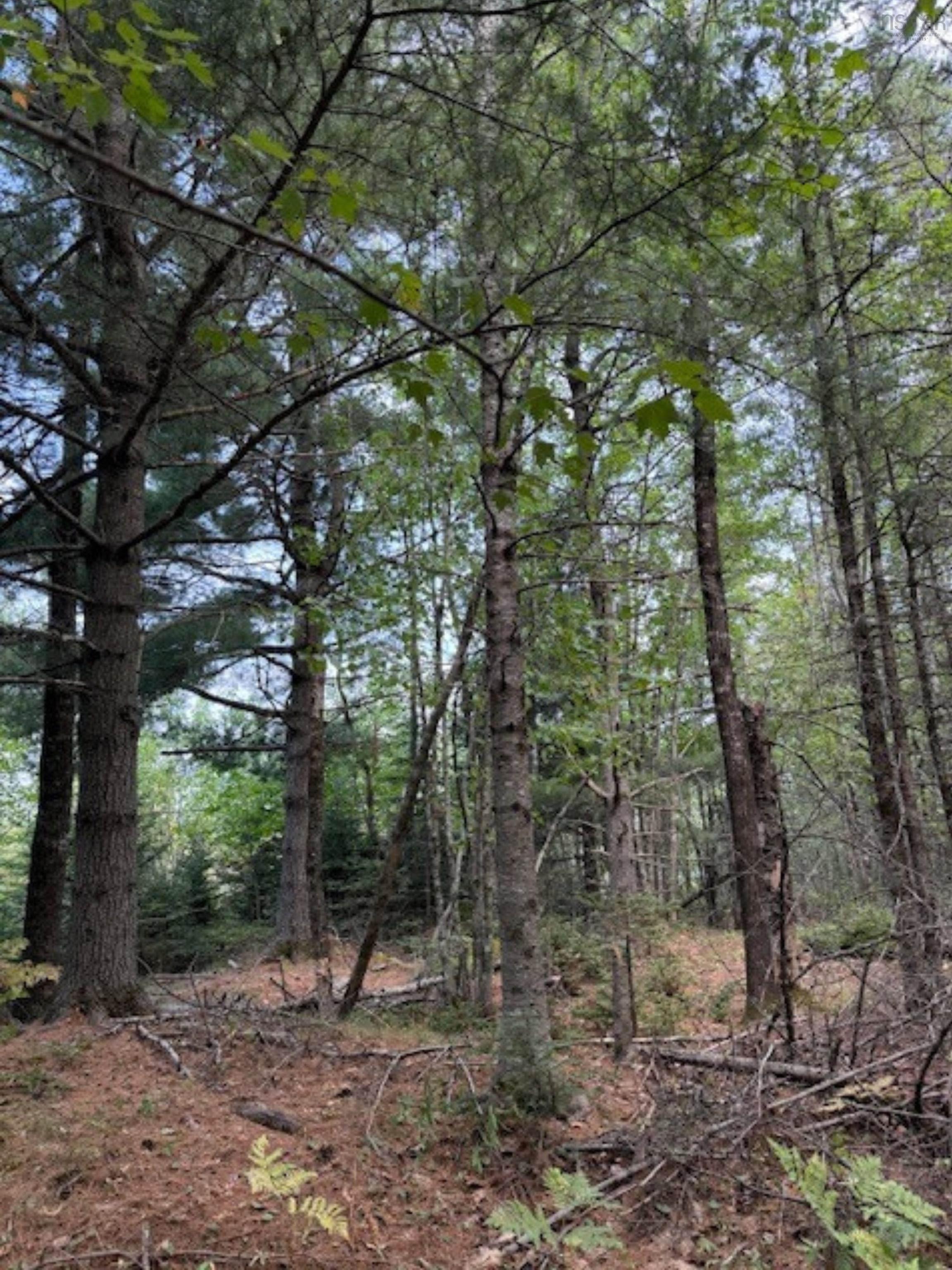 $59,900.00: Lot Morton Road, Barss Corner