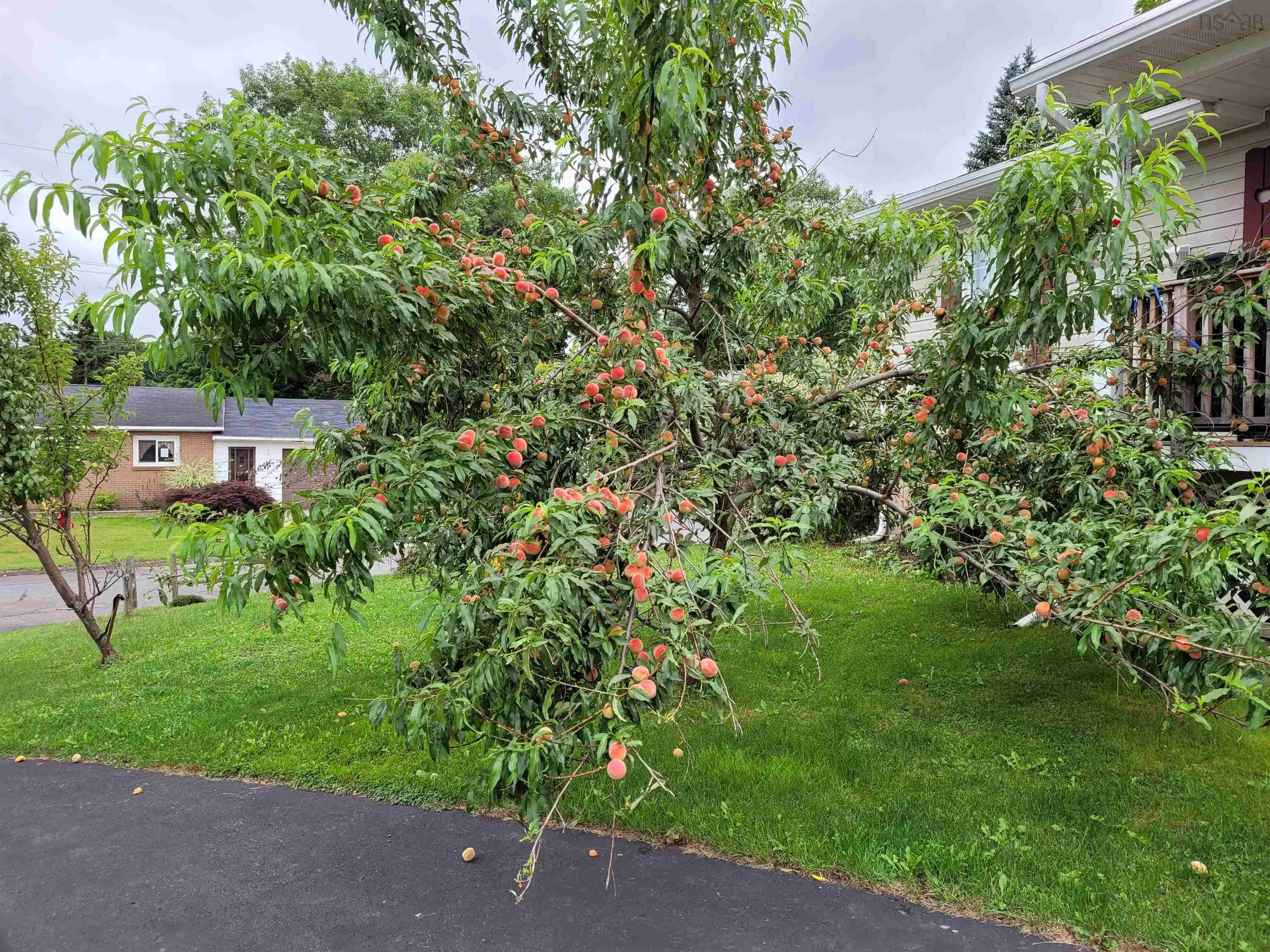 $479,000.00: 333 Queen Street, New Glasgow