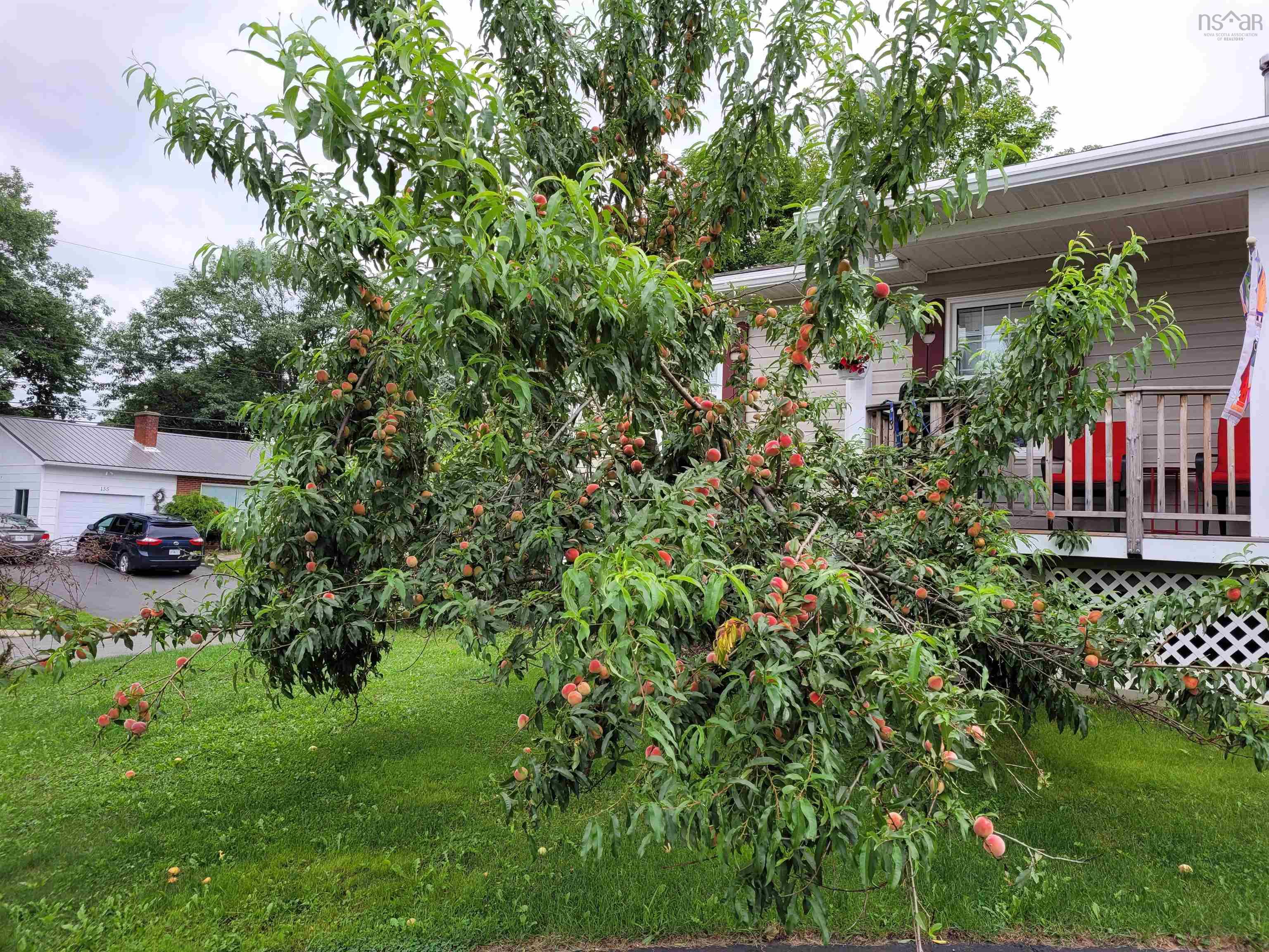 $479,000.00: 333 Queen Street, New Glasgow