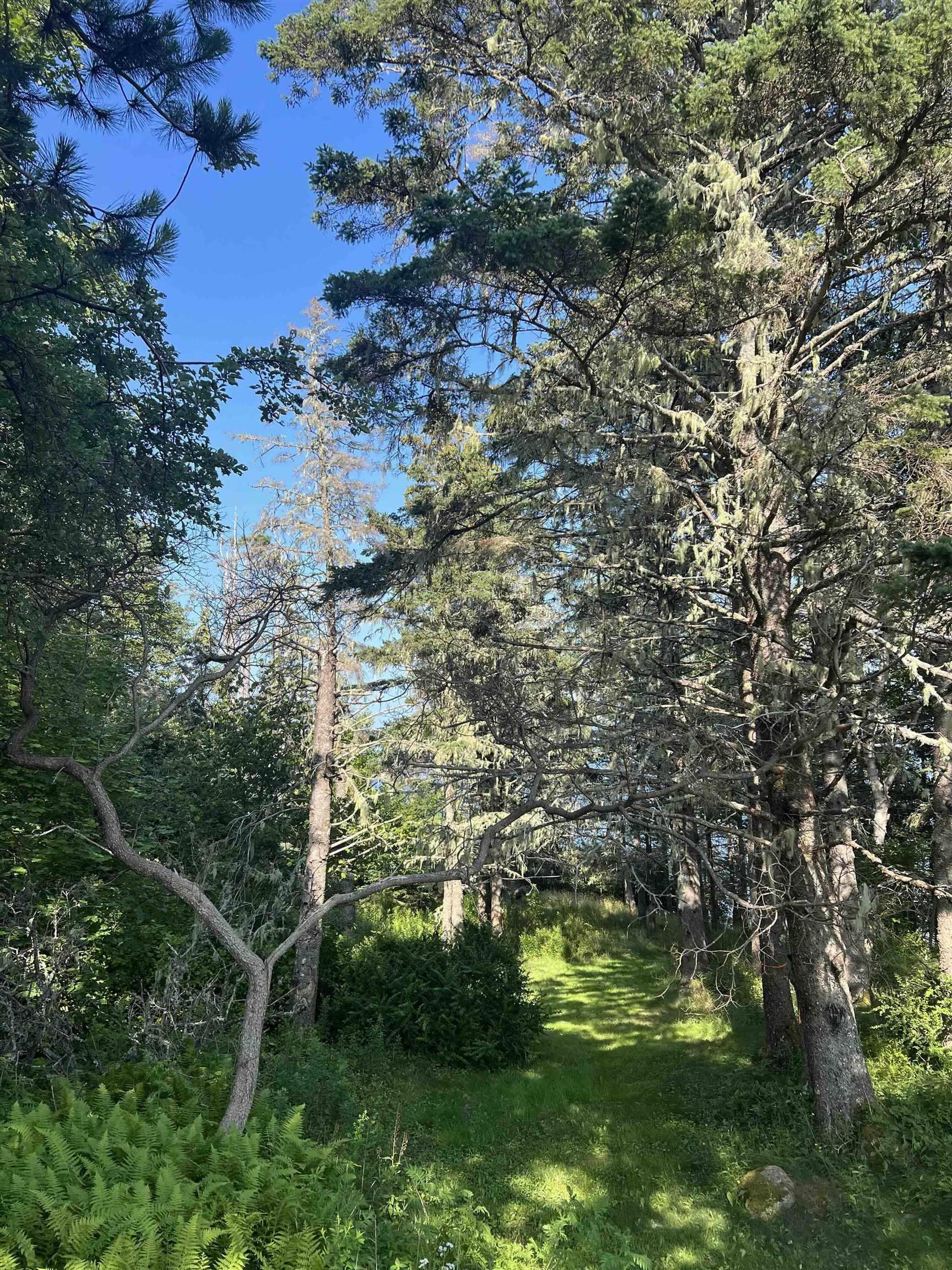 $1,249,000.00: 3 Chester Shore Road, Chester