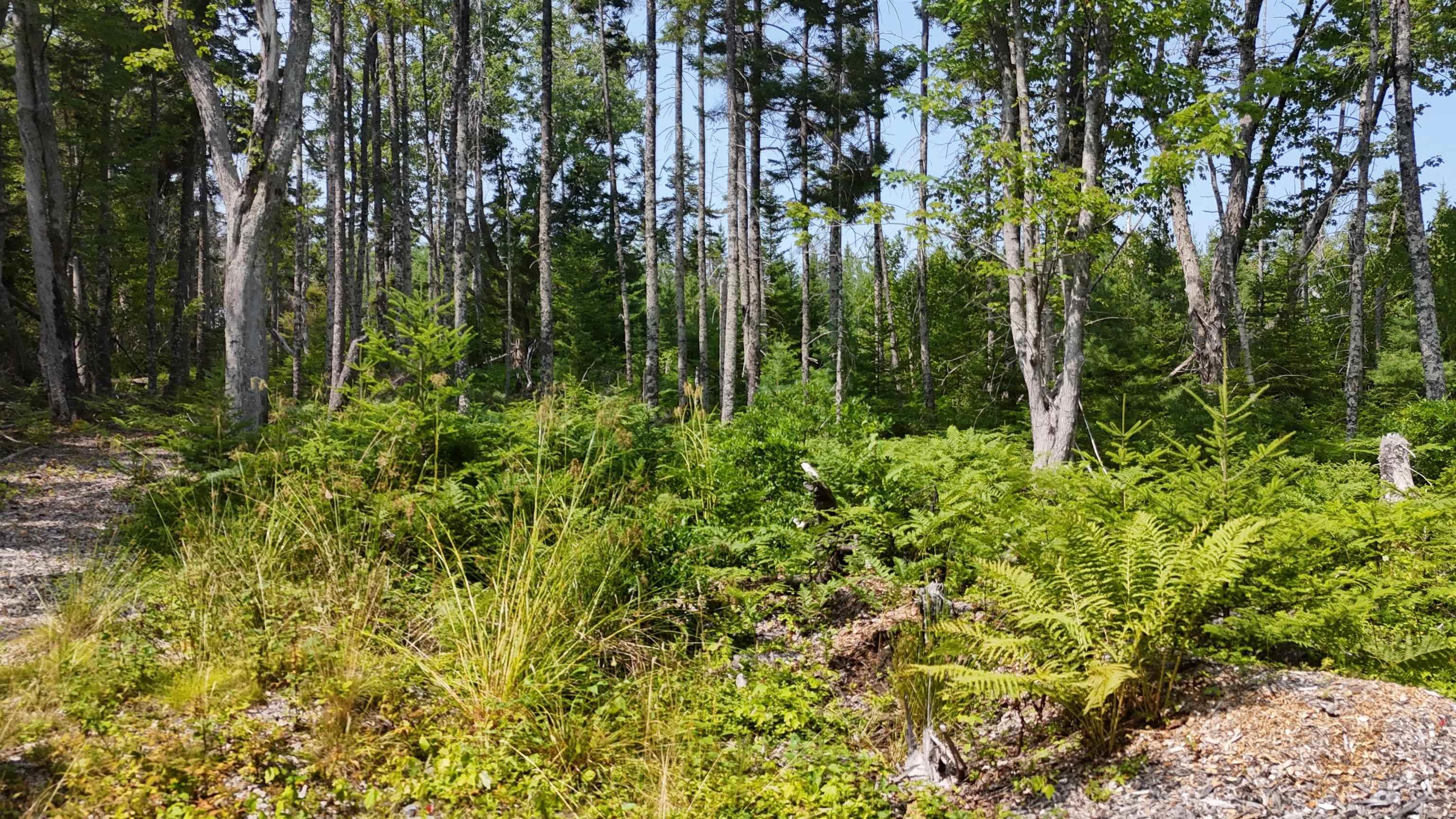 $165,000.00: Lot 3 West Bay Highway, The Points West Bay