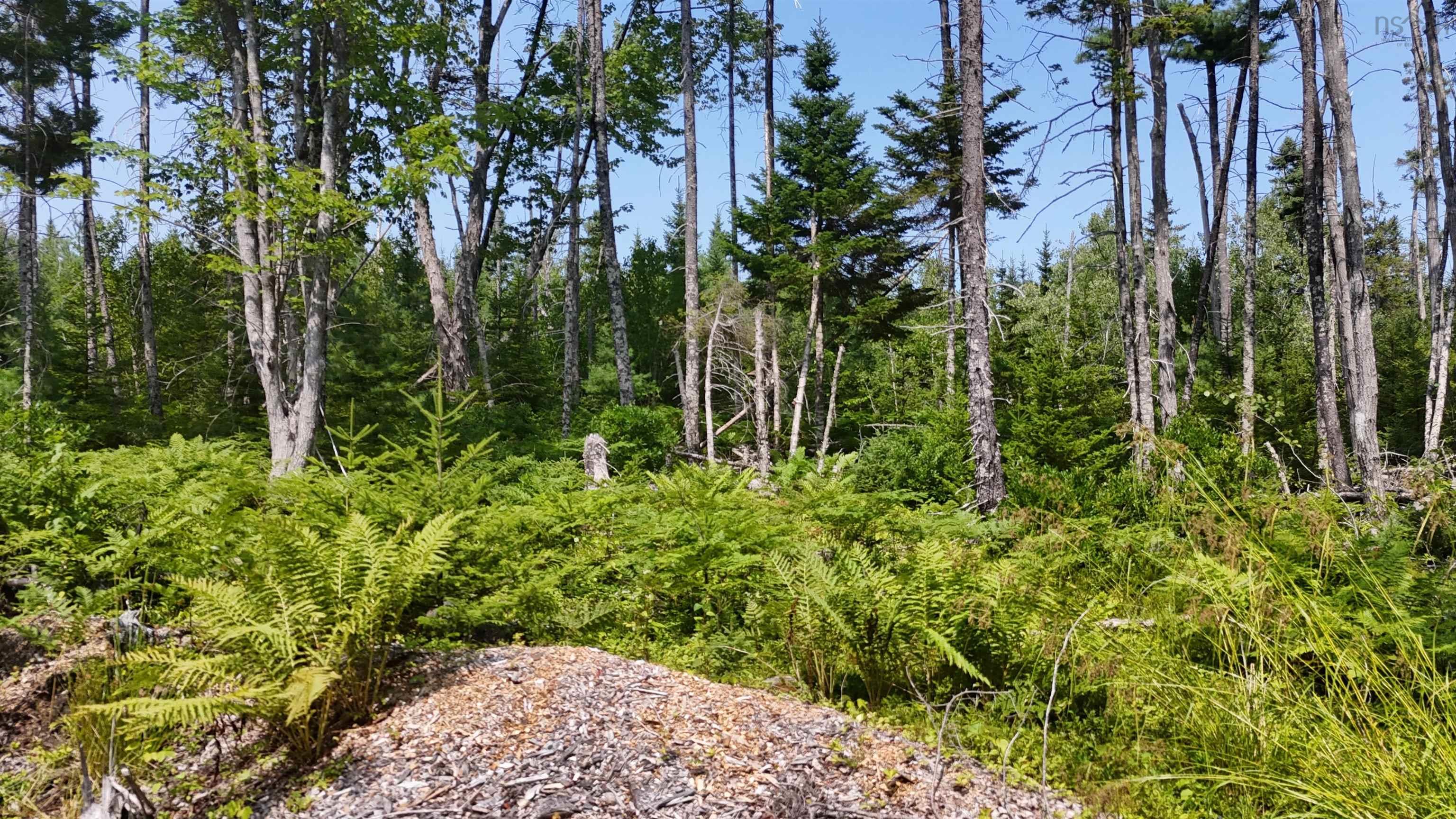 $165,000.00: Lot 3 West Bay Highway, The Points West Bay