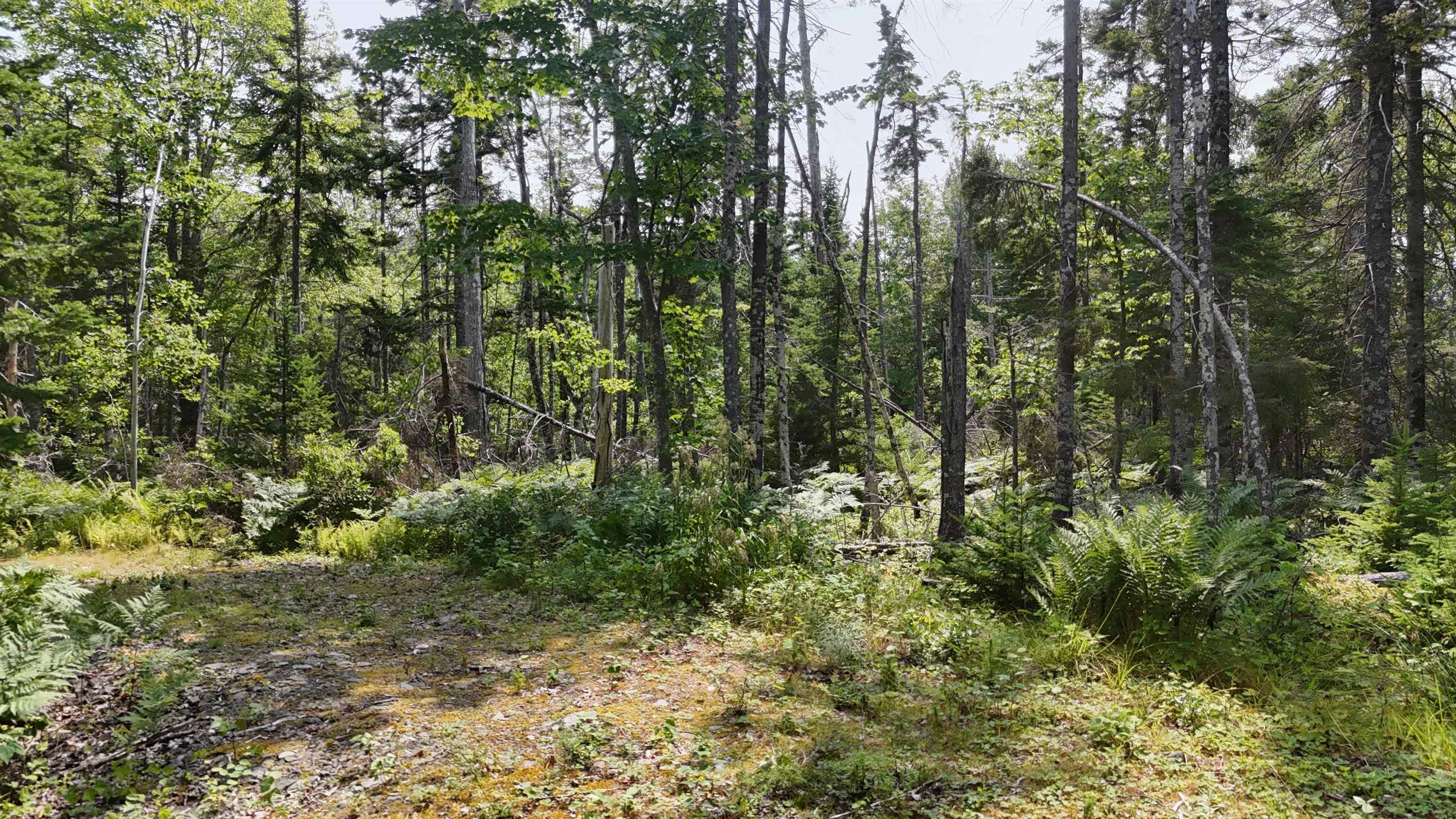 $165,000.00: Lot 3 West Bay Highway, The Points West Bay