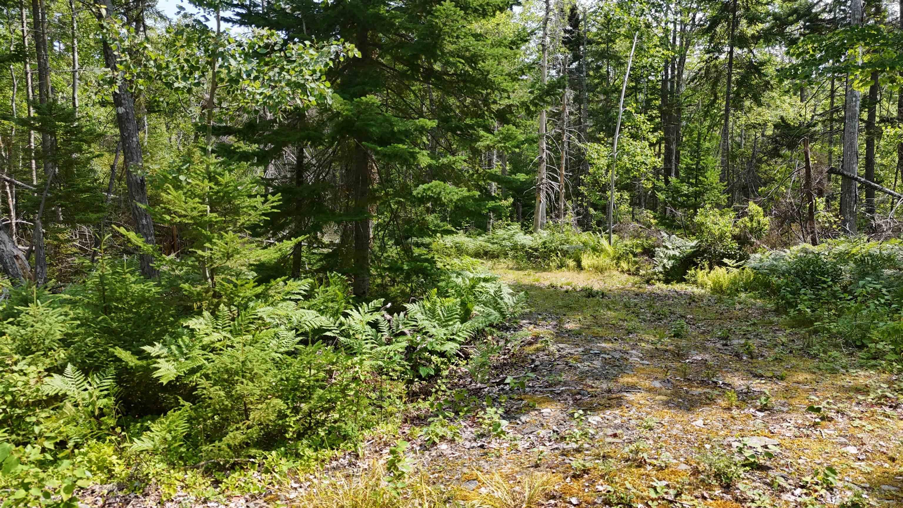 $165,000.00: Lot 3 West Bay Highway, The Points West Bay