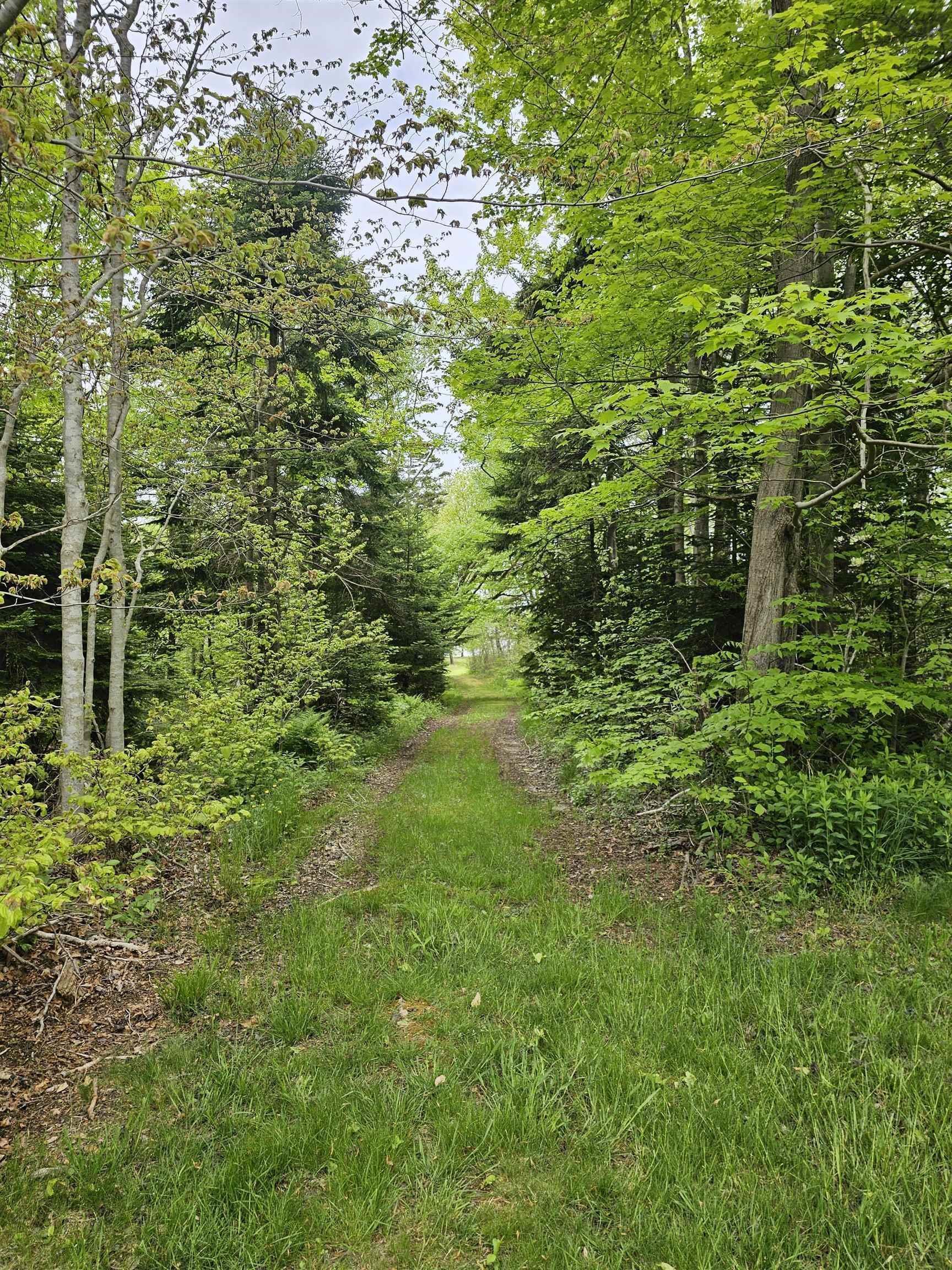 $649,999.00: 8865 8869 Hwy 101 Highway, Brighton