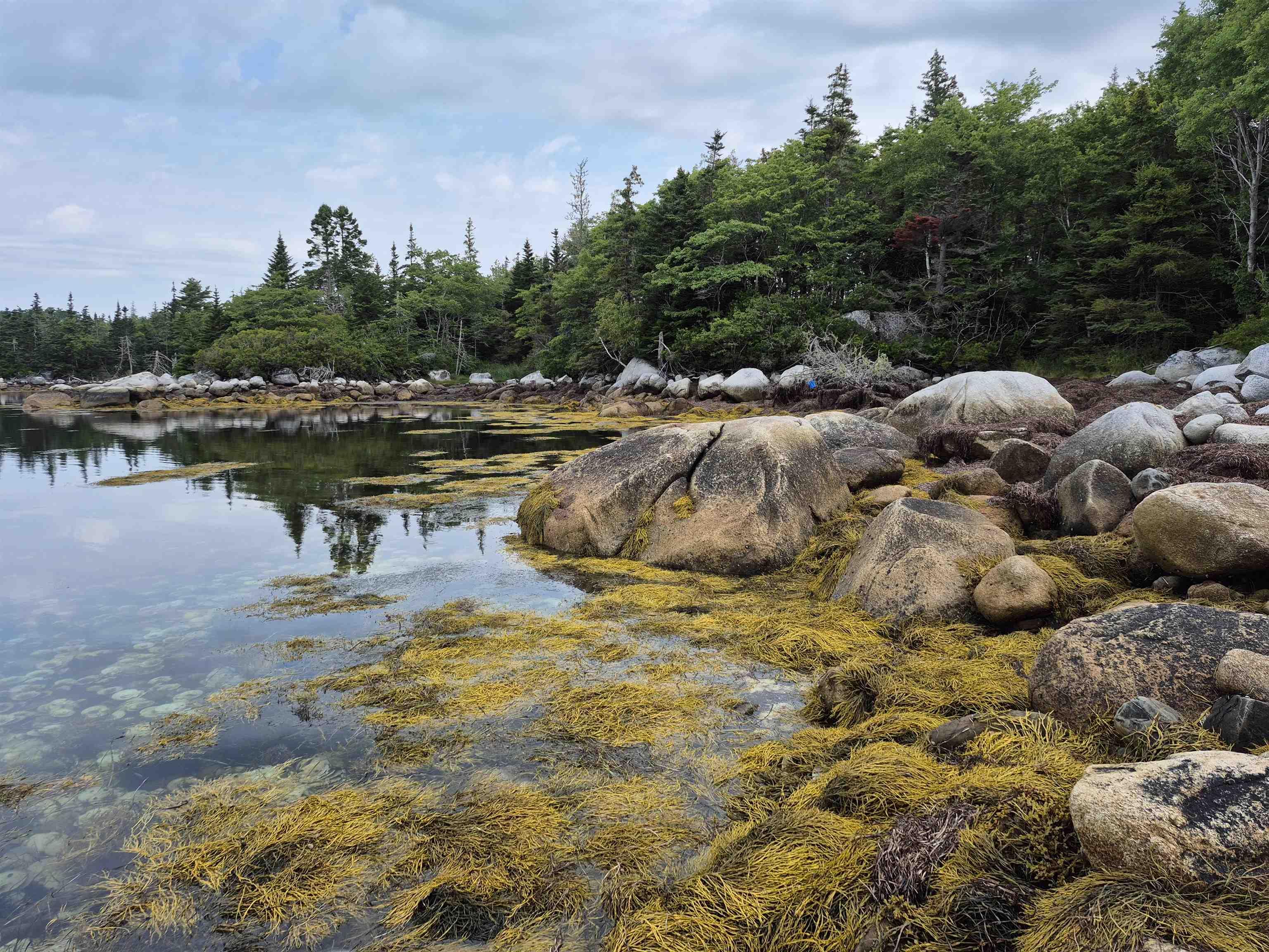 $329,000.00: 36 Goose View Drive, East Port L