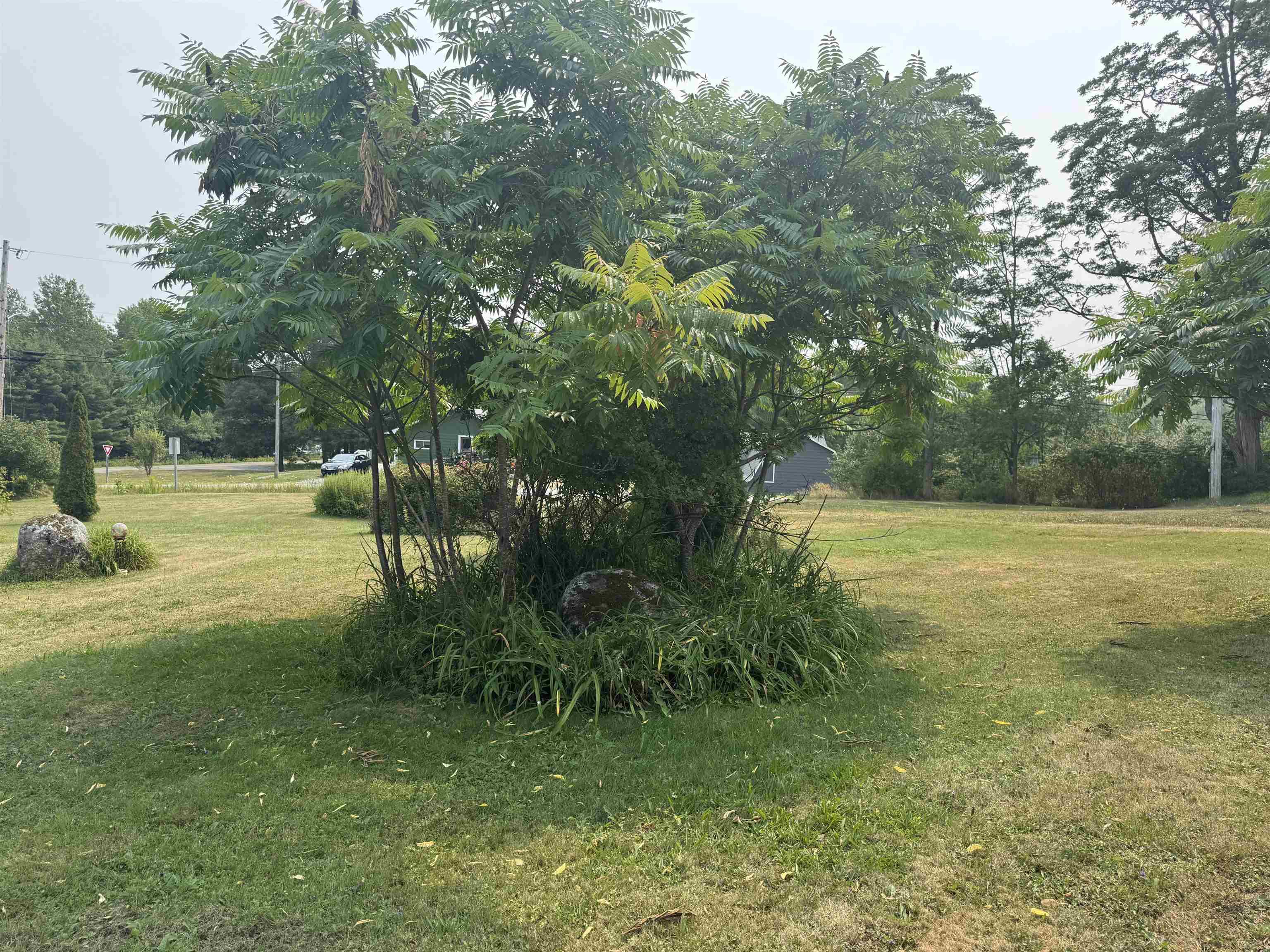 1139 Old Westfield Road, Westfield, NS (MLS 202519668)