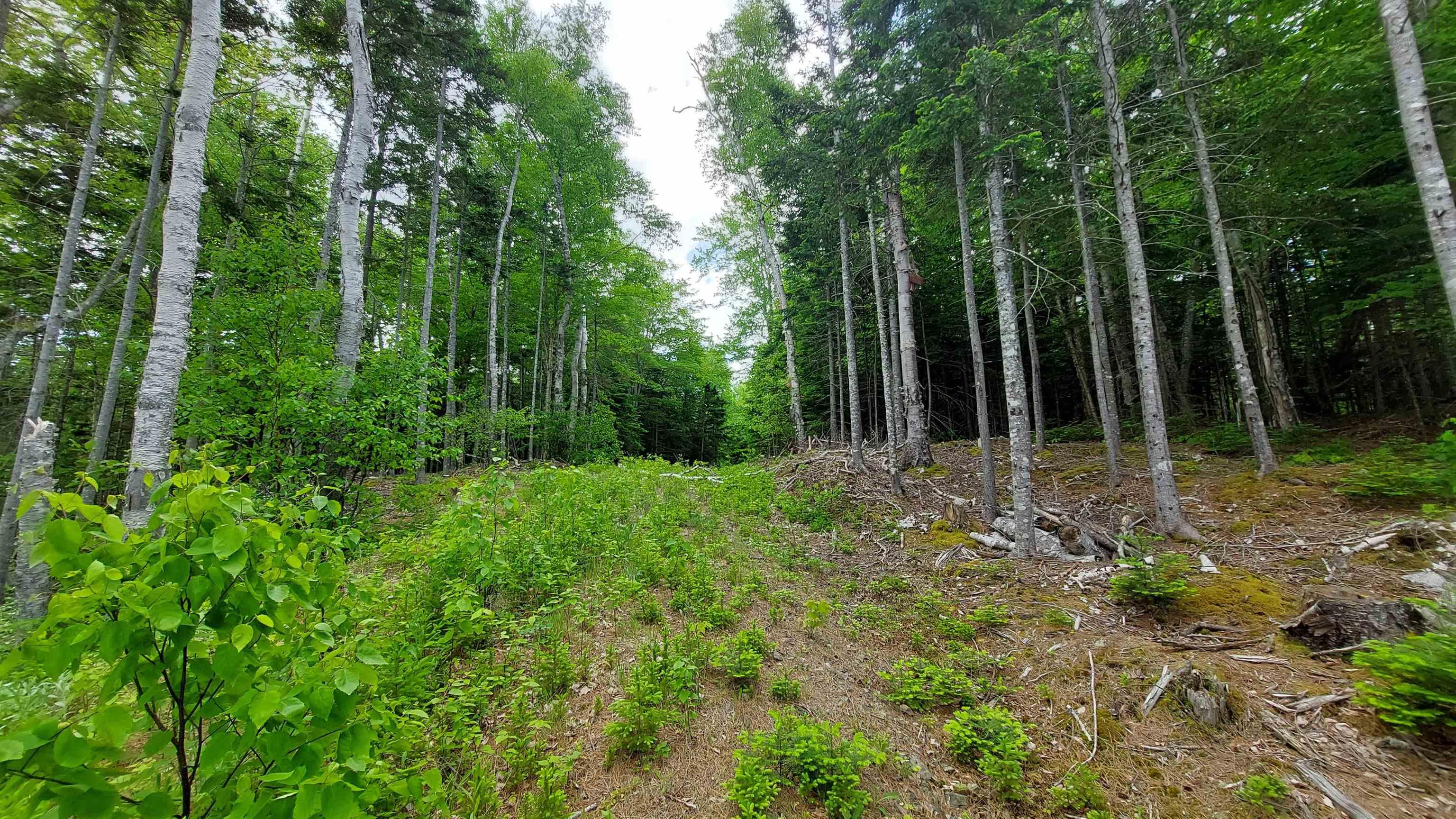 $79,000.00: Lot 20 Redbird Dr, Malagawatch