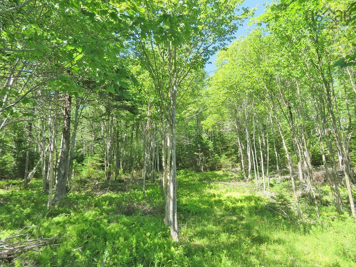 $79,000.00: Lot 20 Redbird Dr, Malagawatch