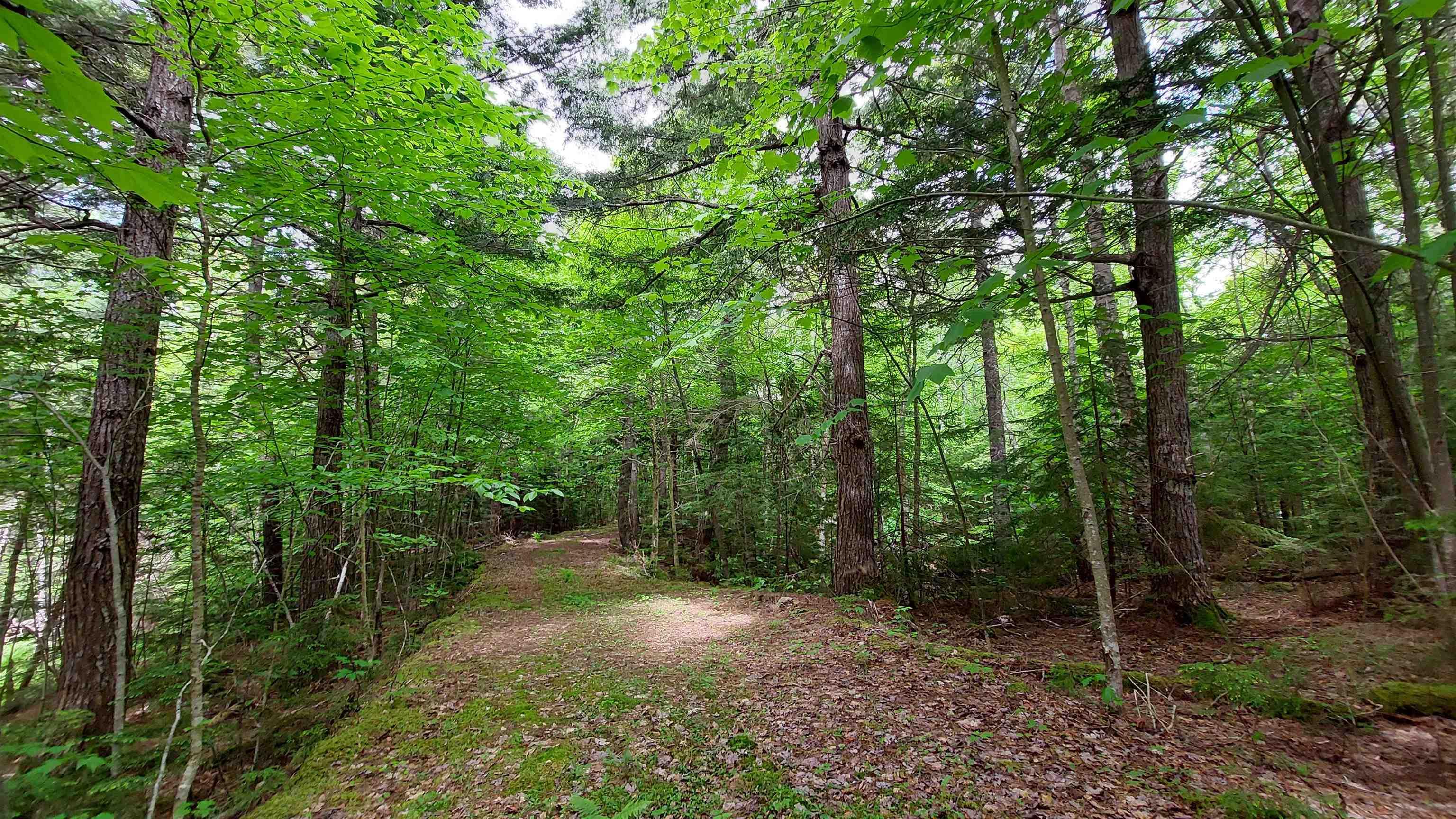 $79,000.00: Lot 20 Redbird Dr, Malagawatch