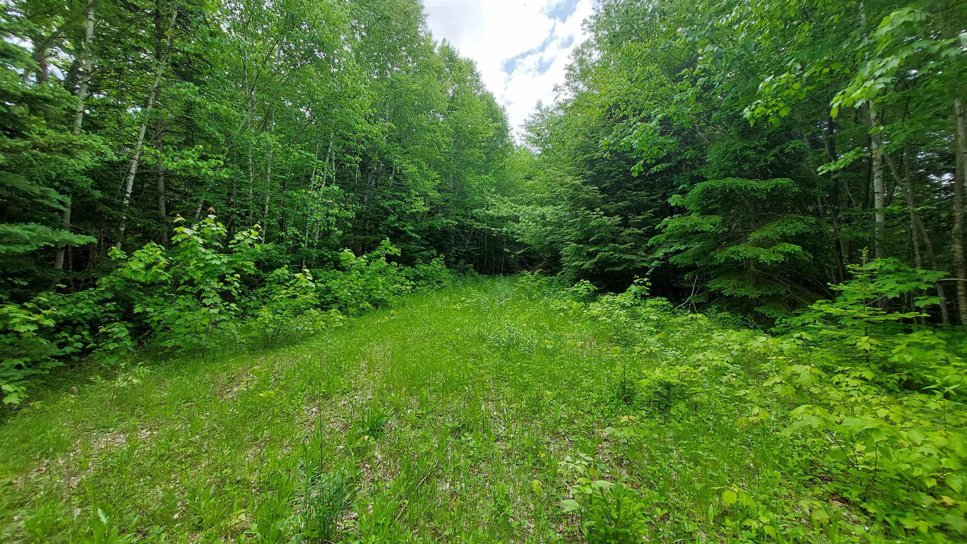 $79,000.00: Lot 20 Redbird Dr, Malagawatch