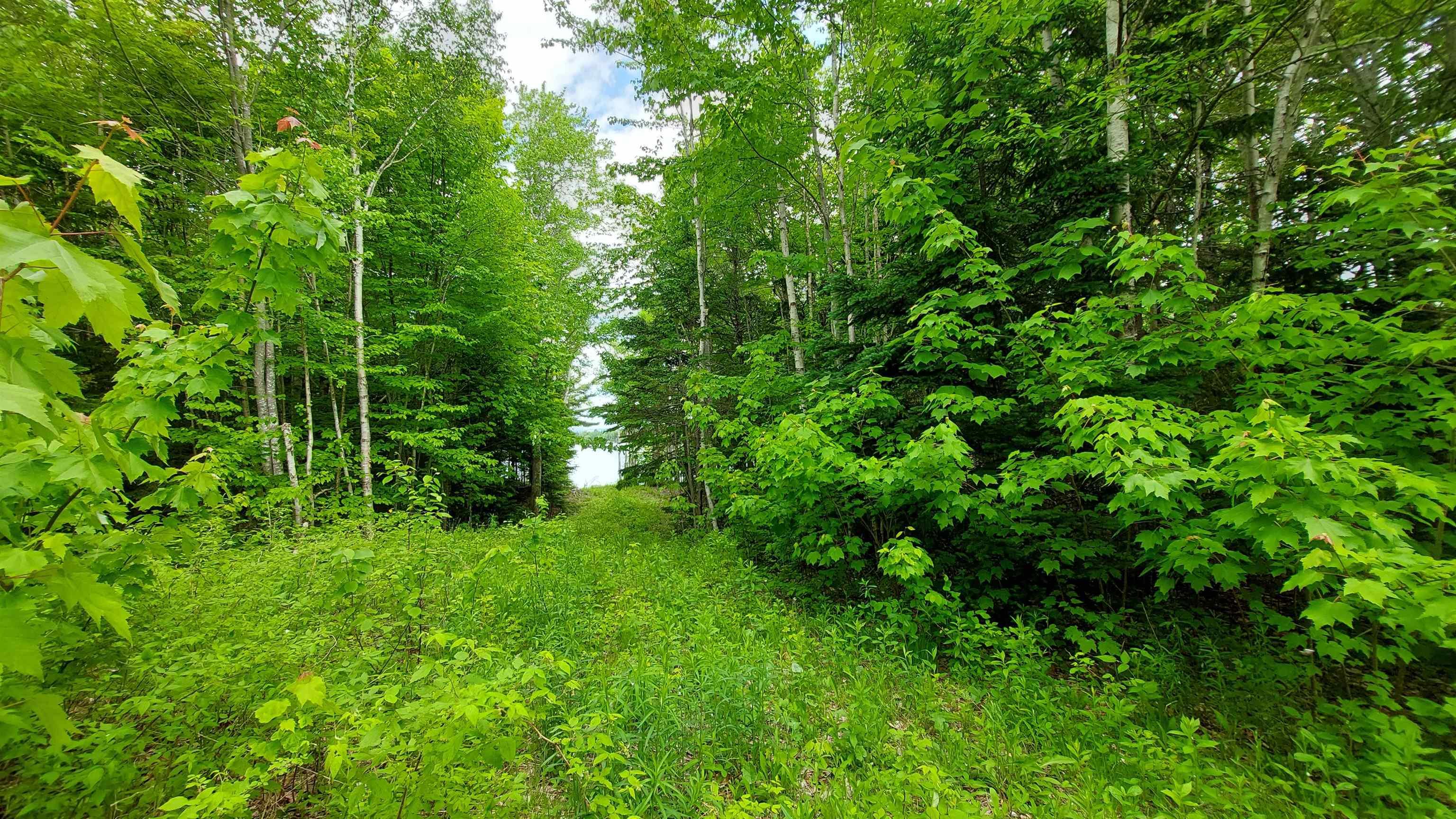 $79,000.00: Lot 20 Redbird Dr, Malagawatch