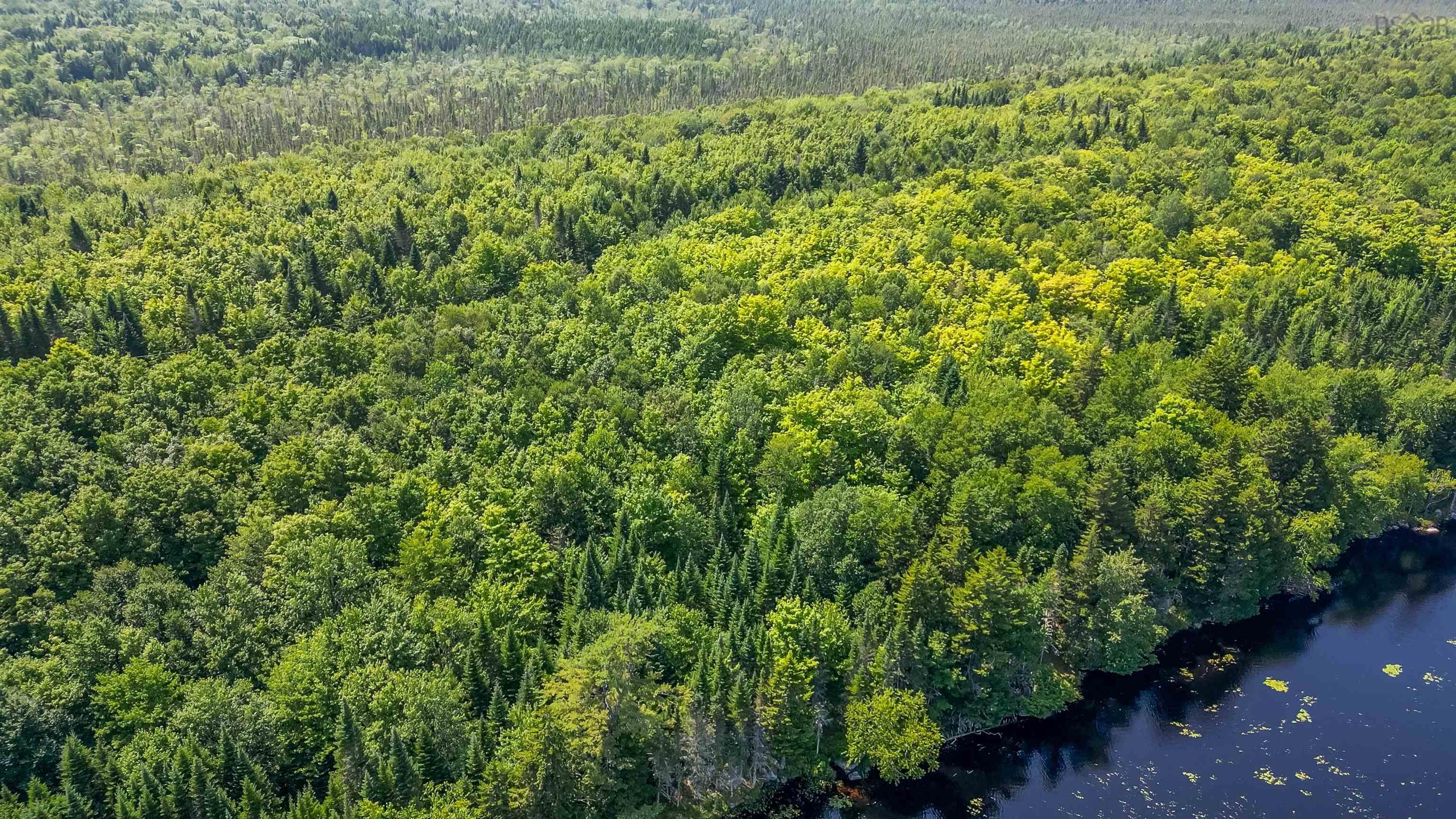 $300,000.00: 8 Red Shirt Road Road, New Russell