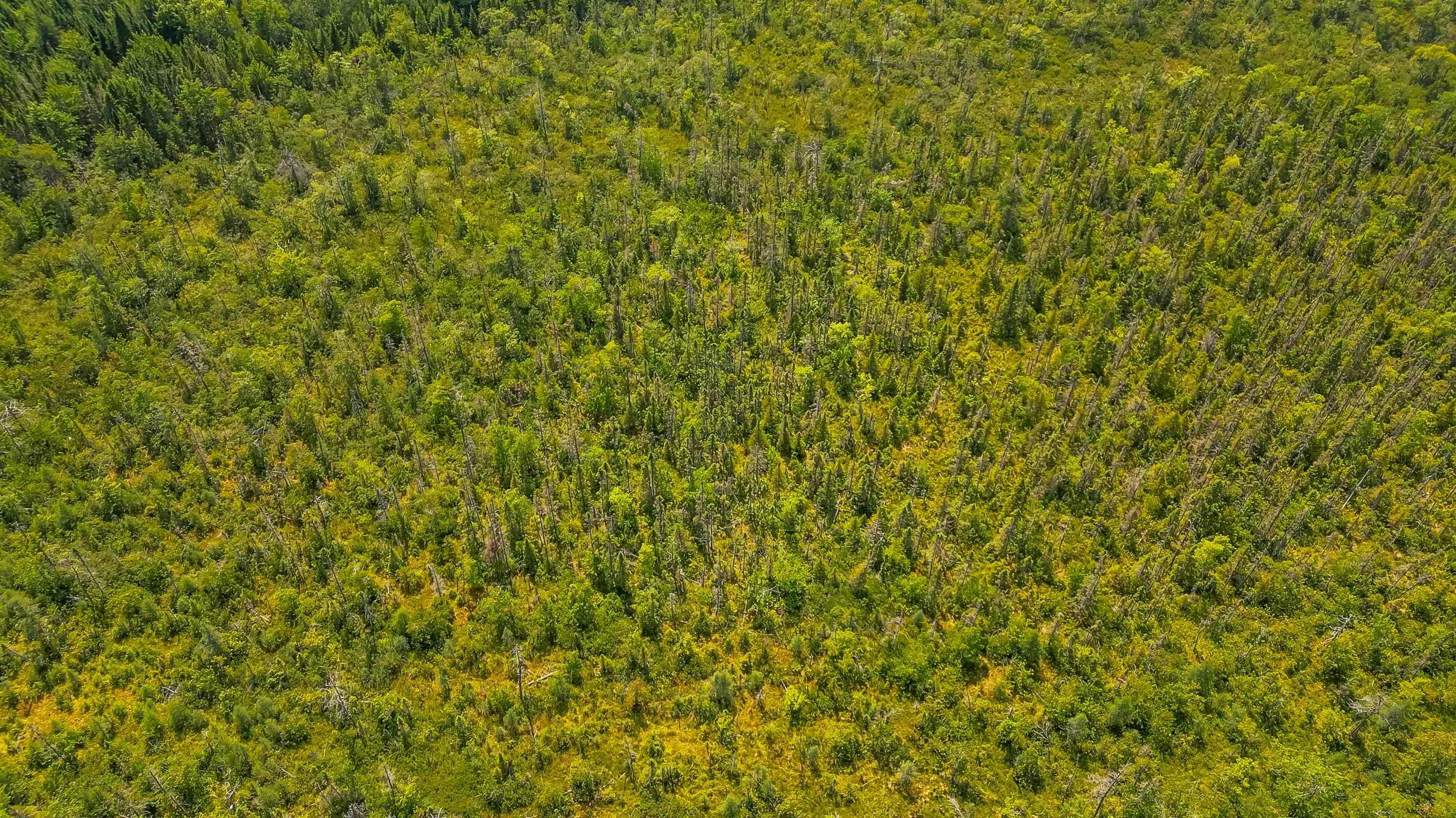 $300,000.00: 8 Red Shirt Road Road, New Russell