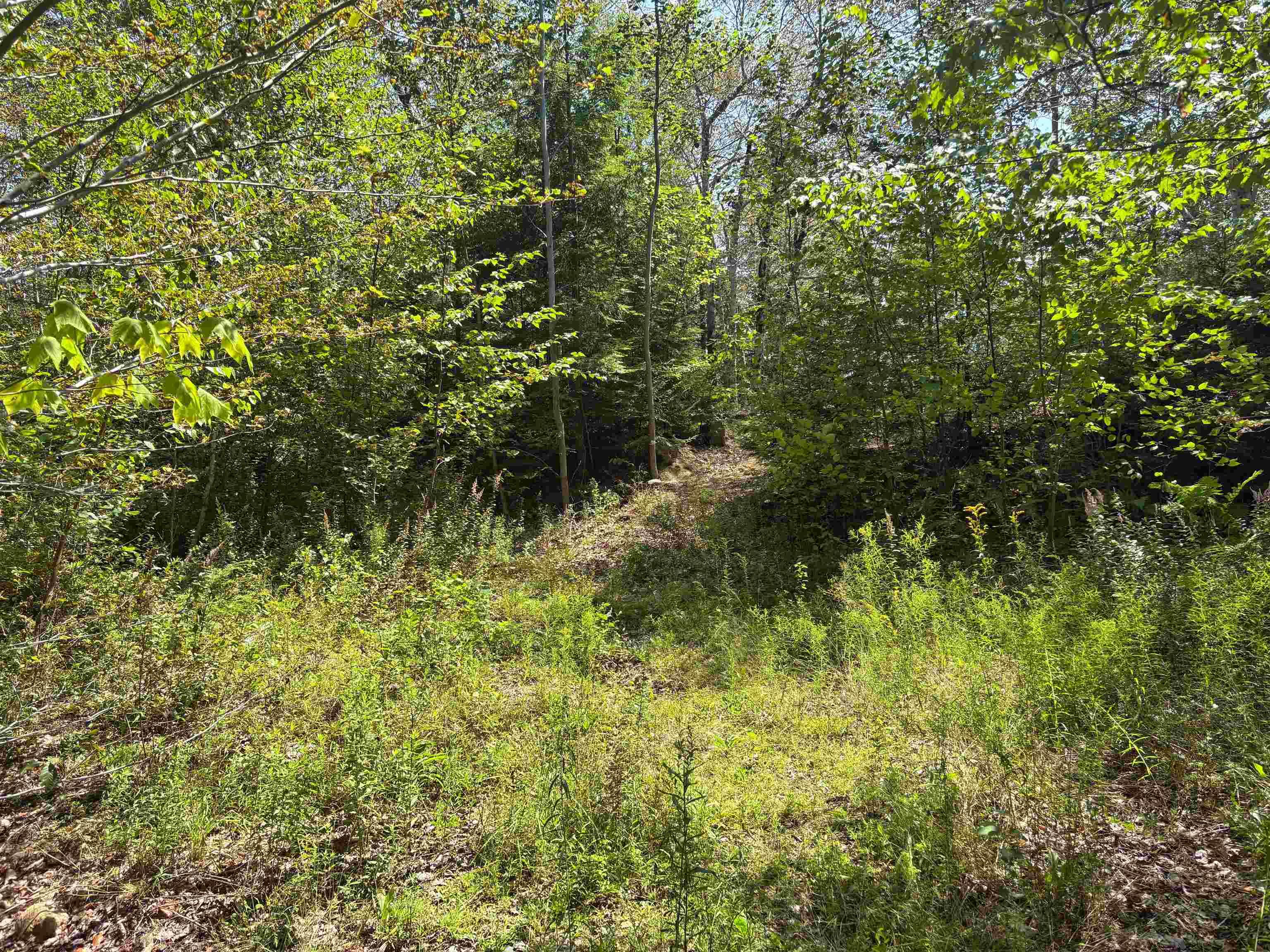 $35,000.00: Lot 6 Crouse Settlement Road, Italy Cross