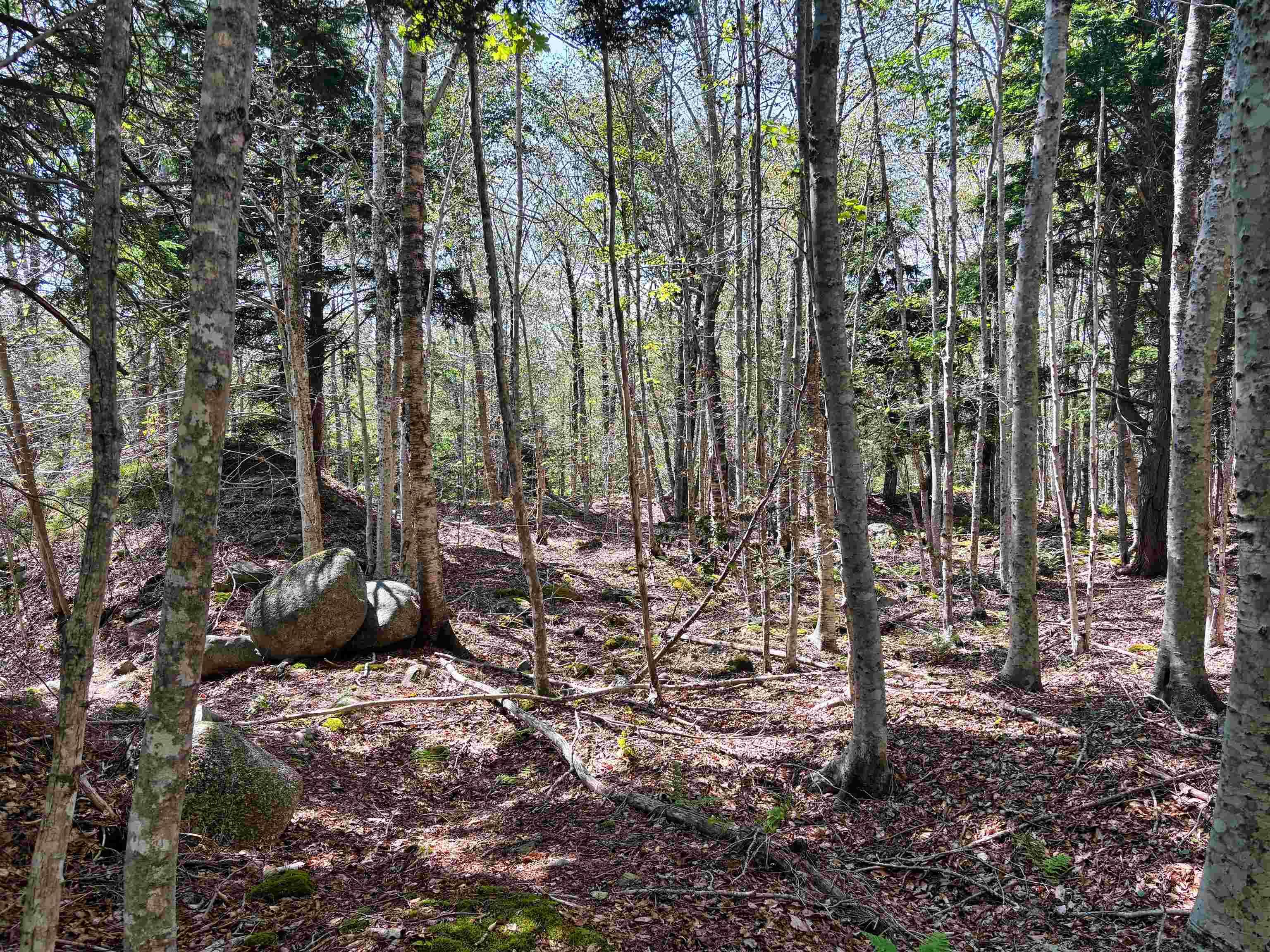 $35,000.00: Lot 6 Crouse Settlement Road, Italy Cross