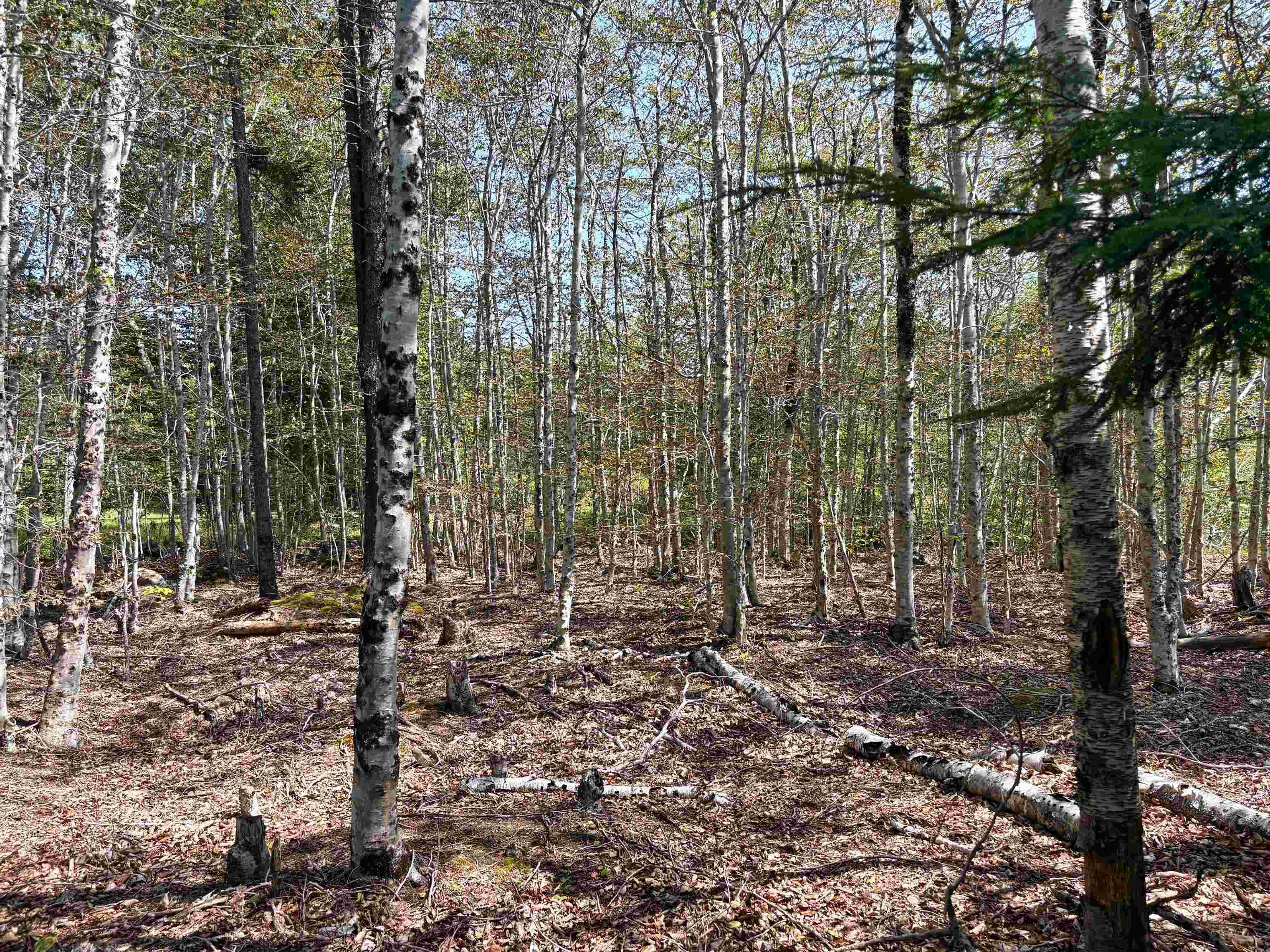 $35,000.00: Lot 6 Crouse Settlement Road, Italy Cross