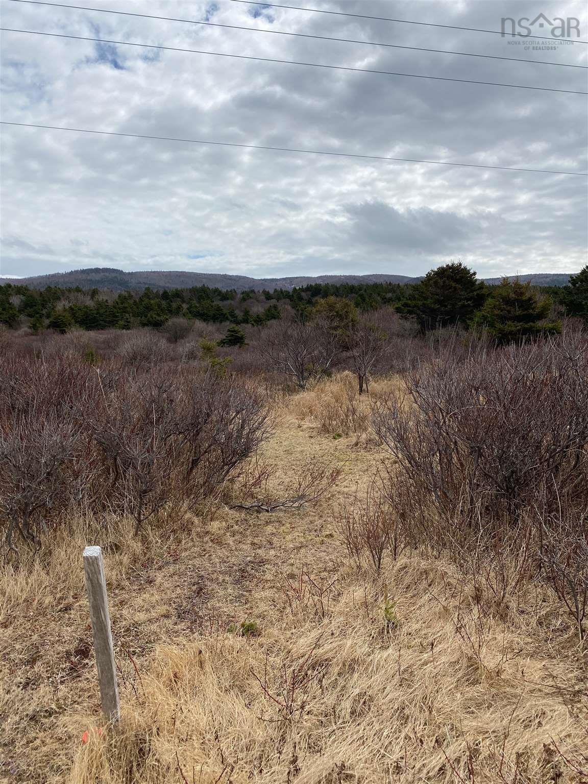 $65,000.00: 11718 Cabot Trail, Cap Le Moine