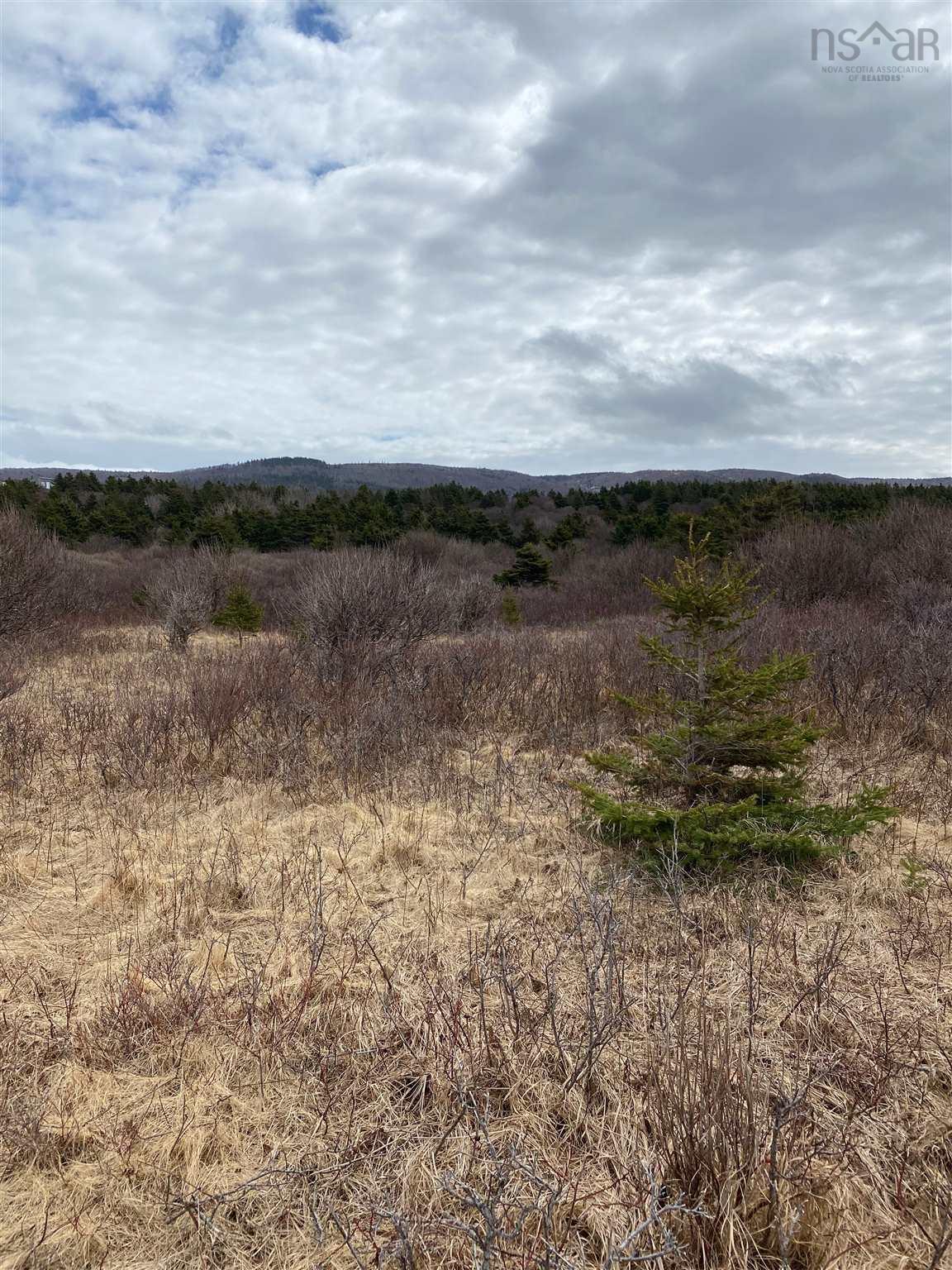 $65,000.00: 11718 Cabot Trail, Cap Le Moine