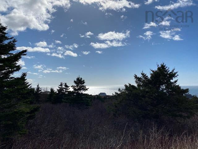 $65,000.00: 11718 Cabot Trail, Cap Le Moine