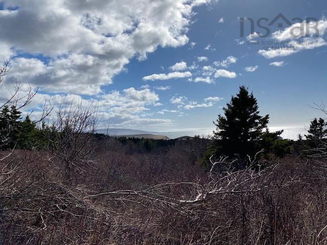 $65,000.00: 11718 Cabot Trail, Cap Le Moine