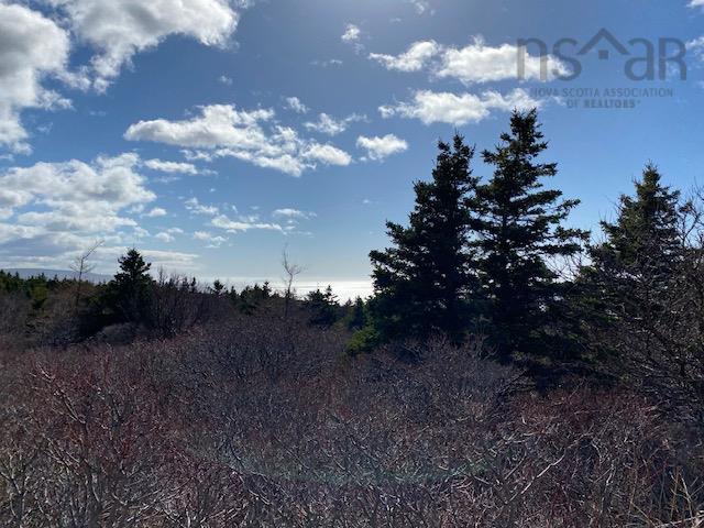 $65,000.00: 11718 Cabot Trail, Cap Le Moine