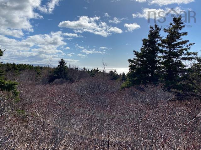 $65,000.00: 11718 Cabot Trail, Cap Le Moine