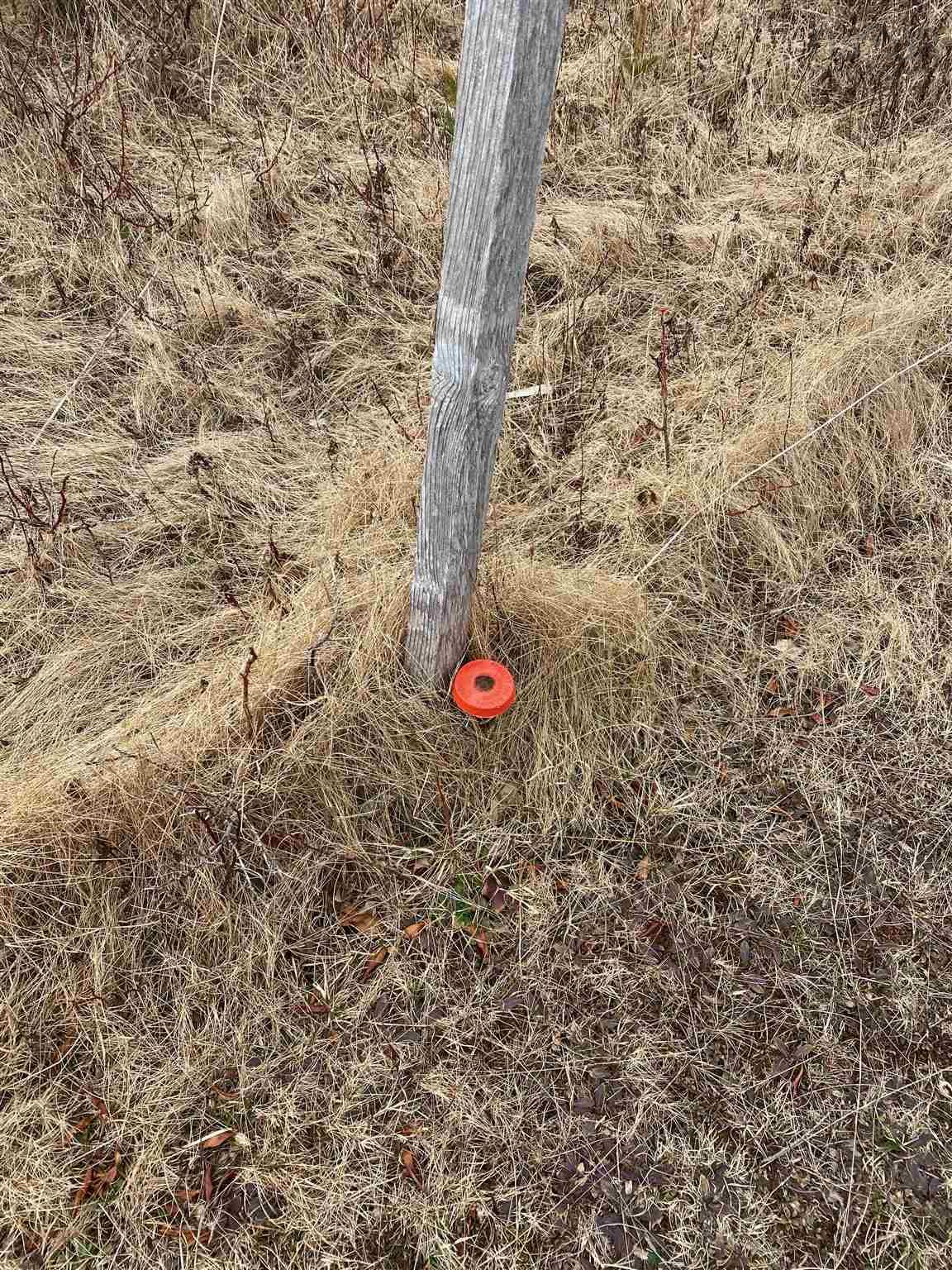 $65,000.00: 11718 Cabot Trail, Cap Le Moine