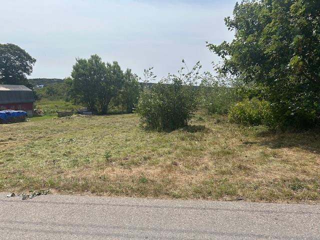 $22,000.00: Wellington Street Lot, Westport