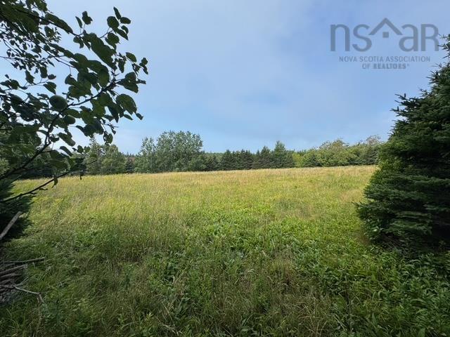 $84,900.00: Garden Lots Lot 4A Blue Rocks Road, Lunenburg