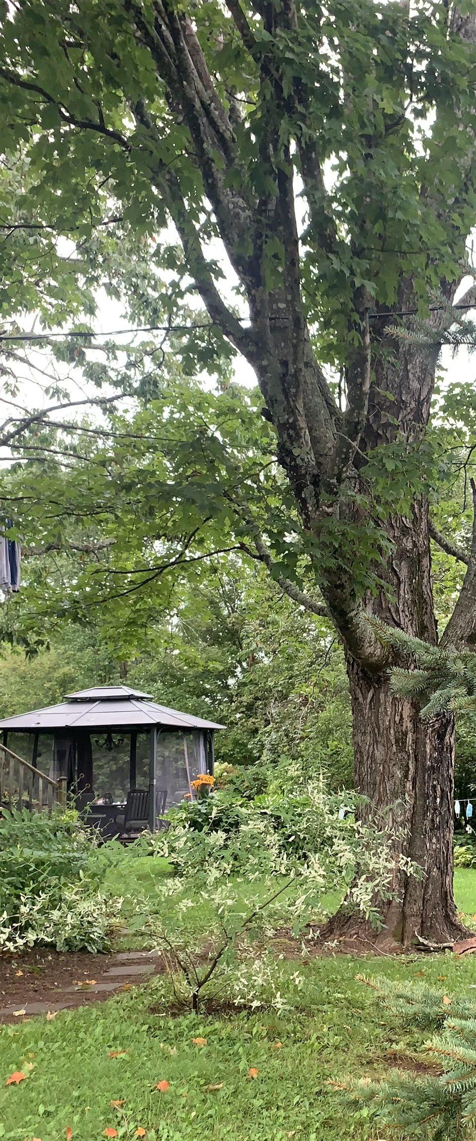 $547,000.00: 63 Church Street, Tatamagouche