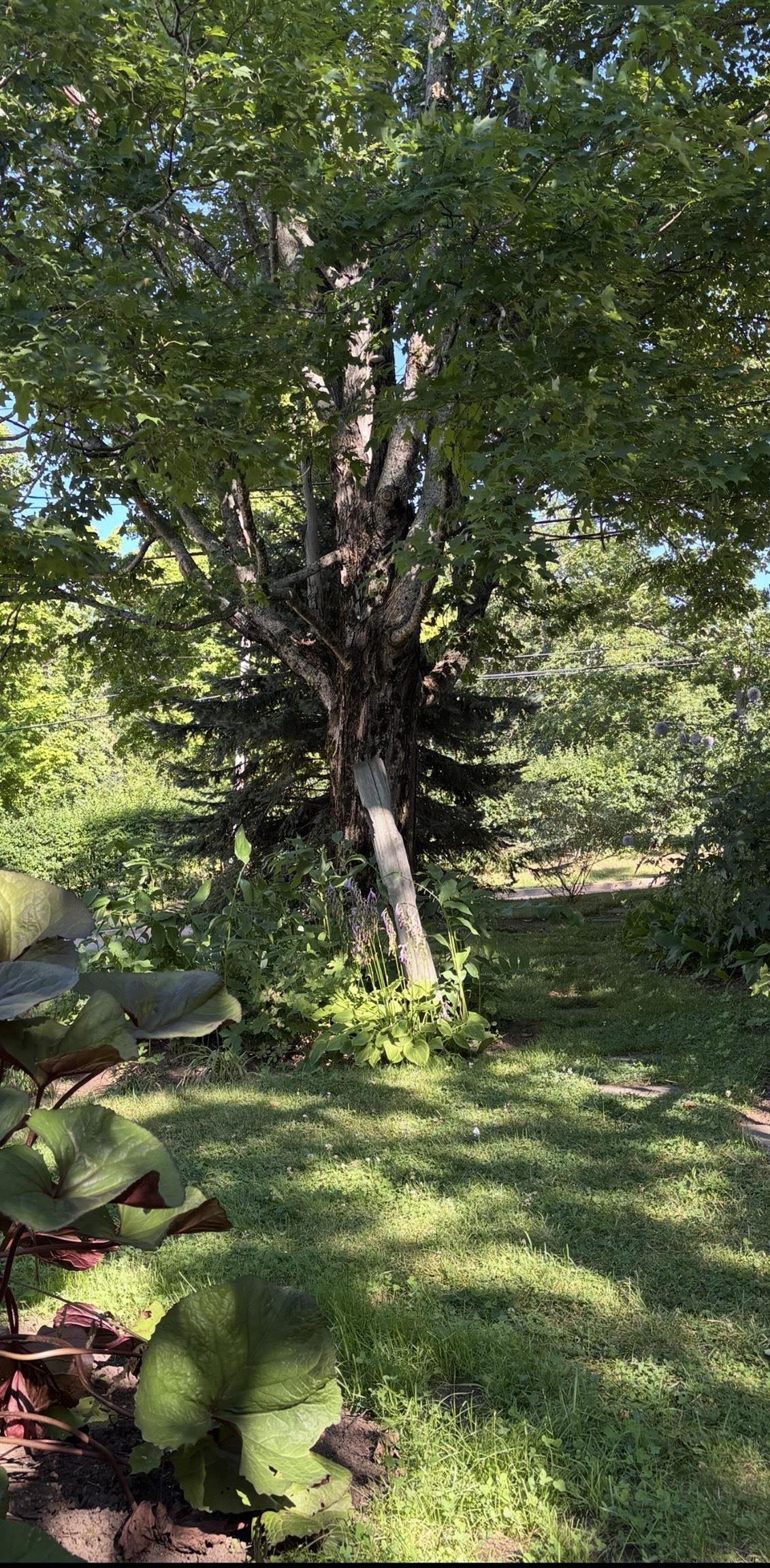 $547,000.00: 63 Church Street, Tatamagouche